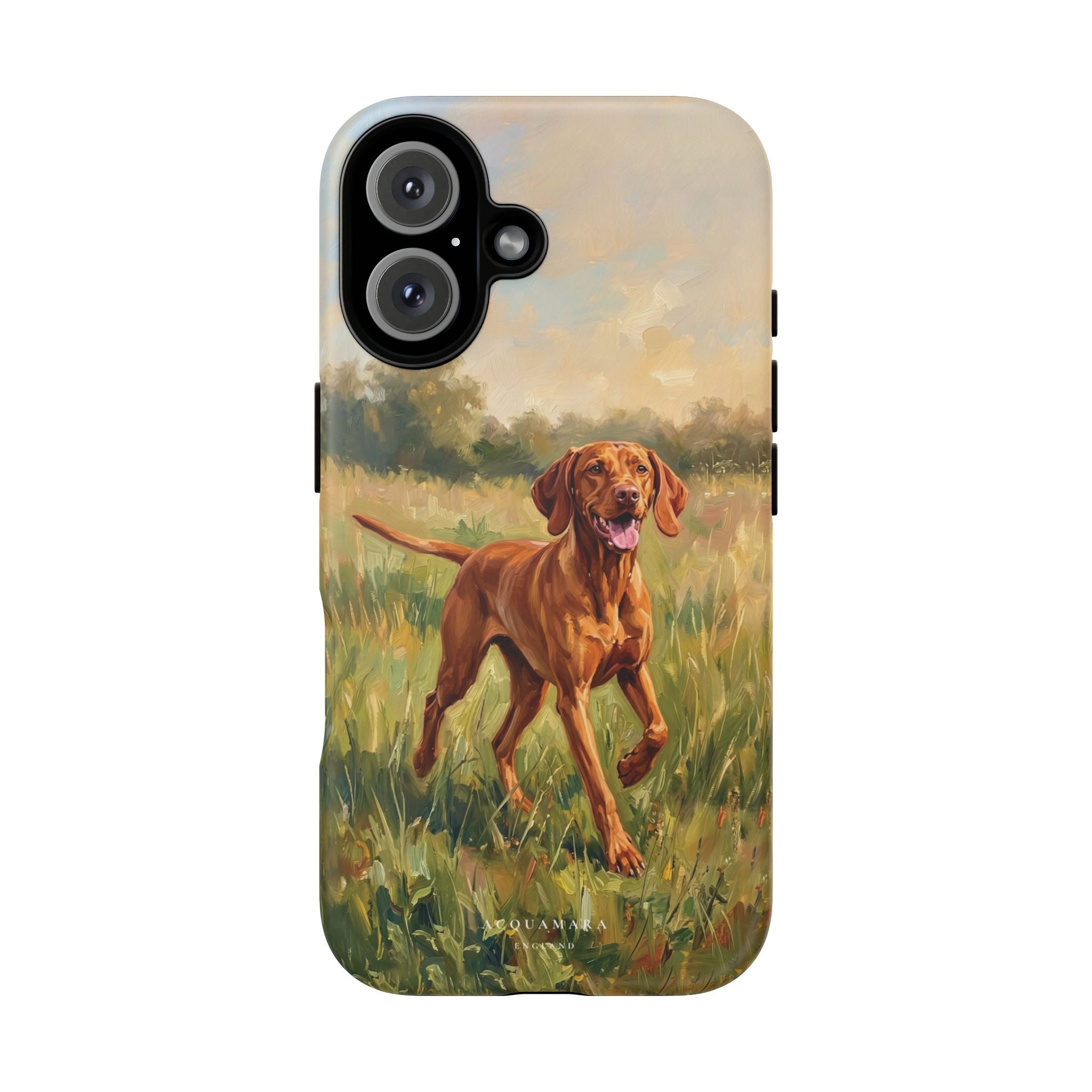 The Hungarian Vizsla