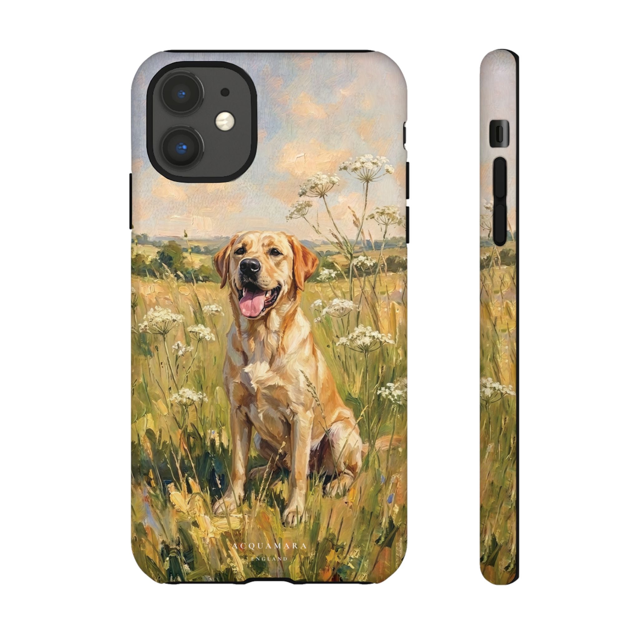 The Labrador (Yellow)