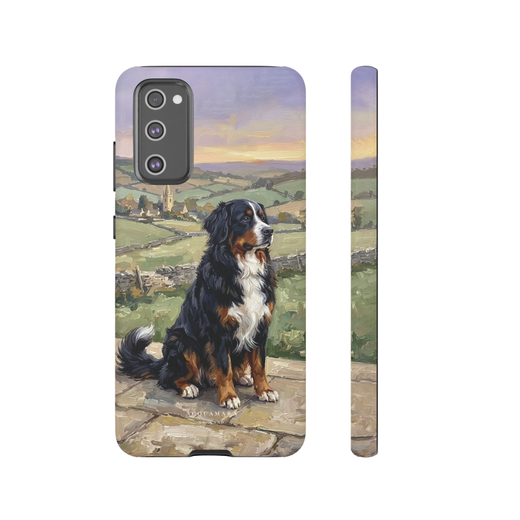 The Bernese Mountain Dog