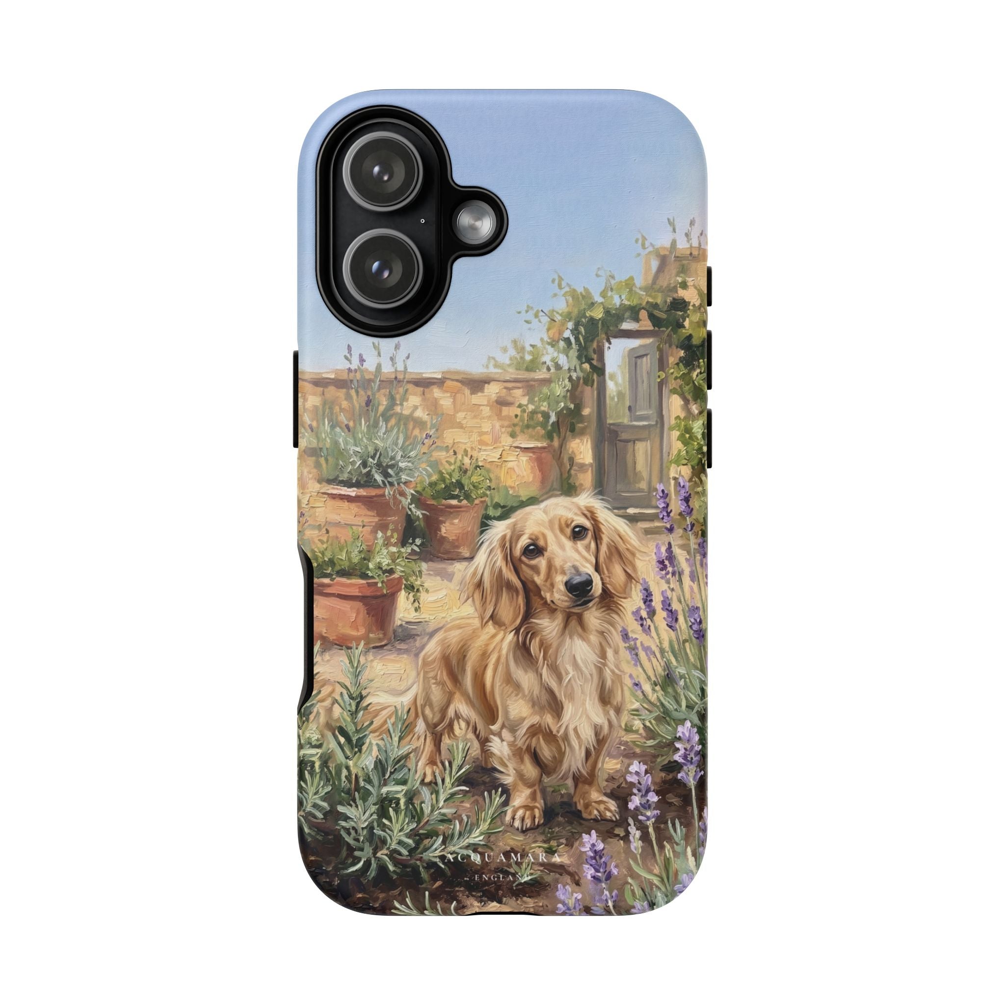 The Dachshund (Blonde long hair)
