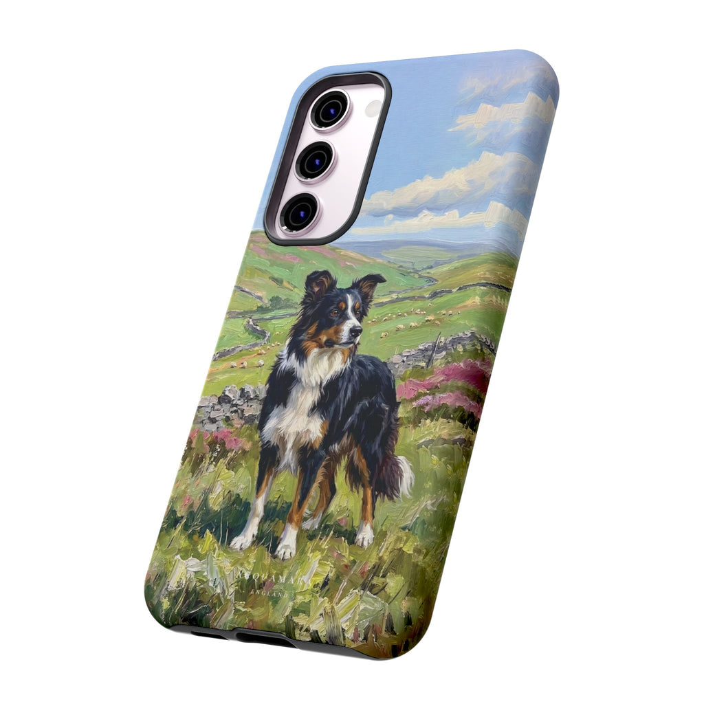 The Border Collie