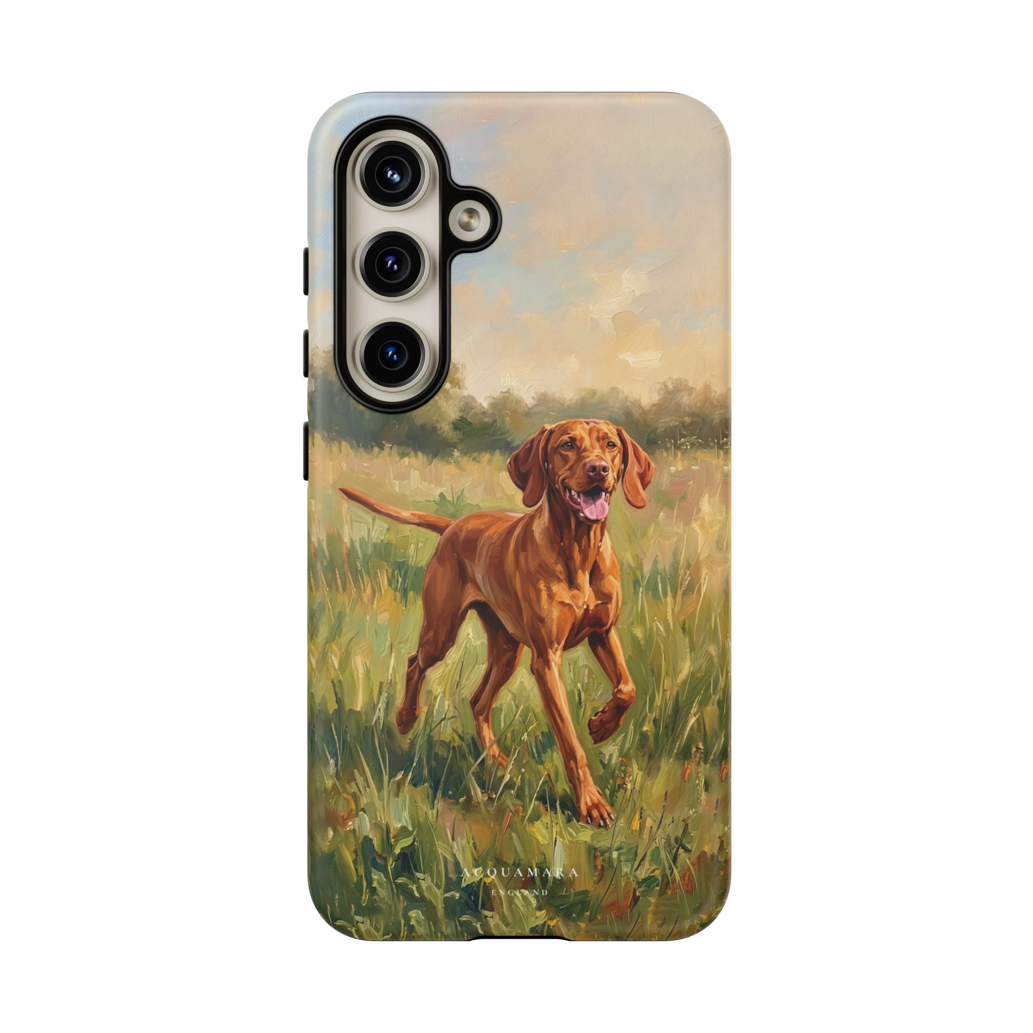 The Hungarian Vizsla