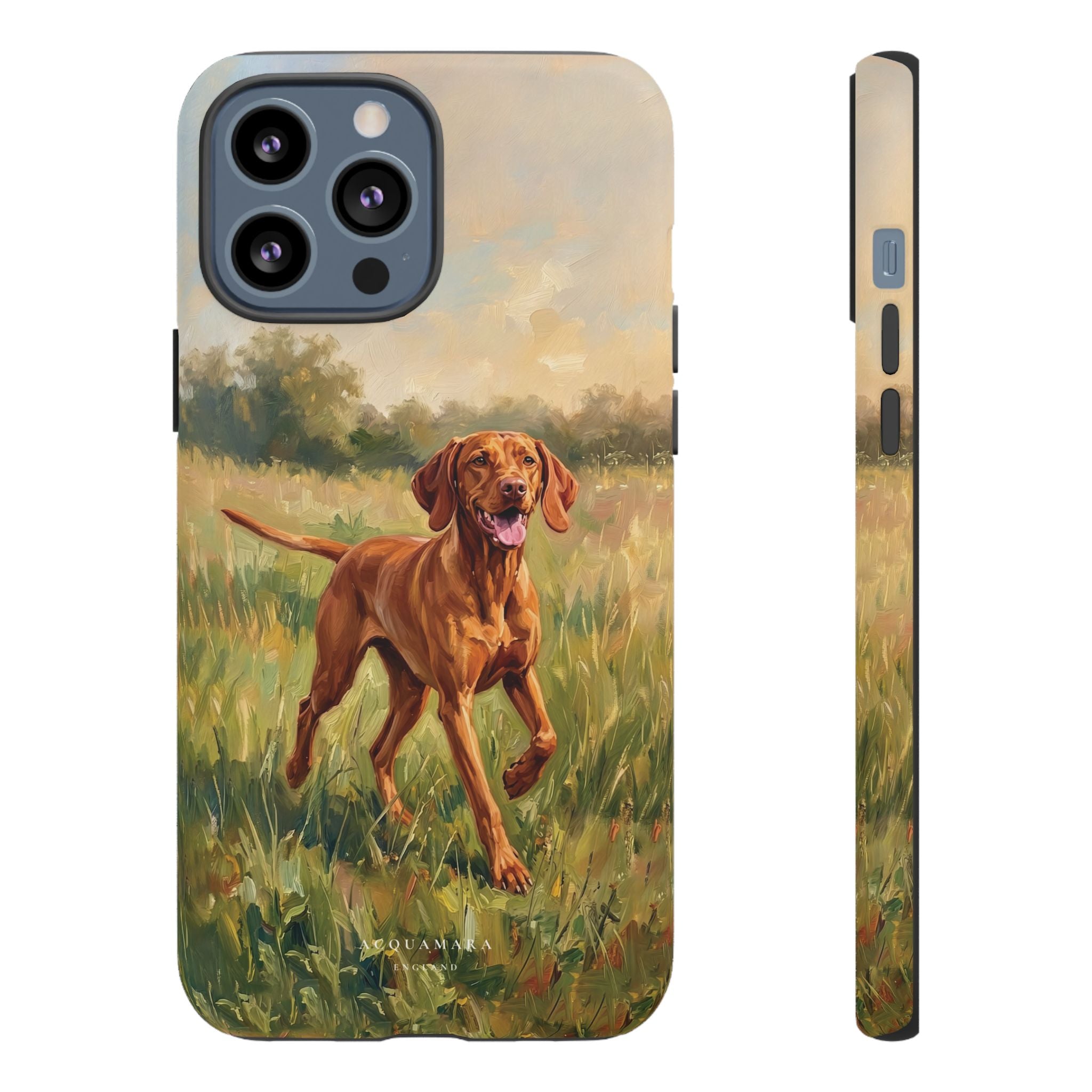 The Hungarian Vizsla