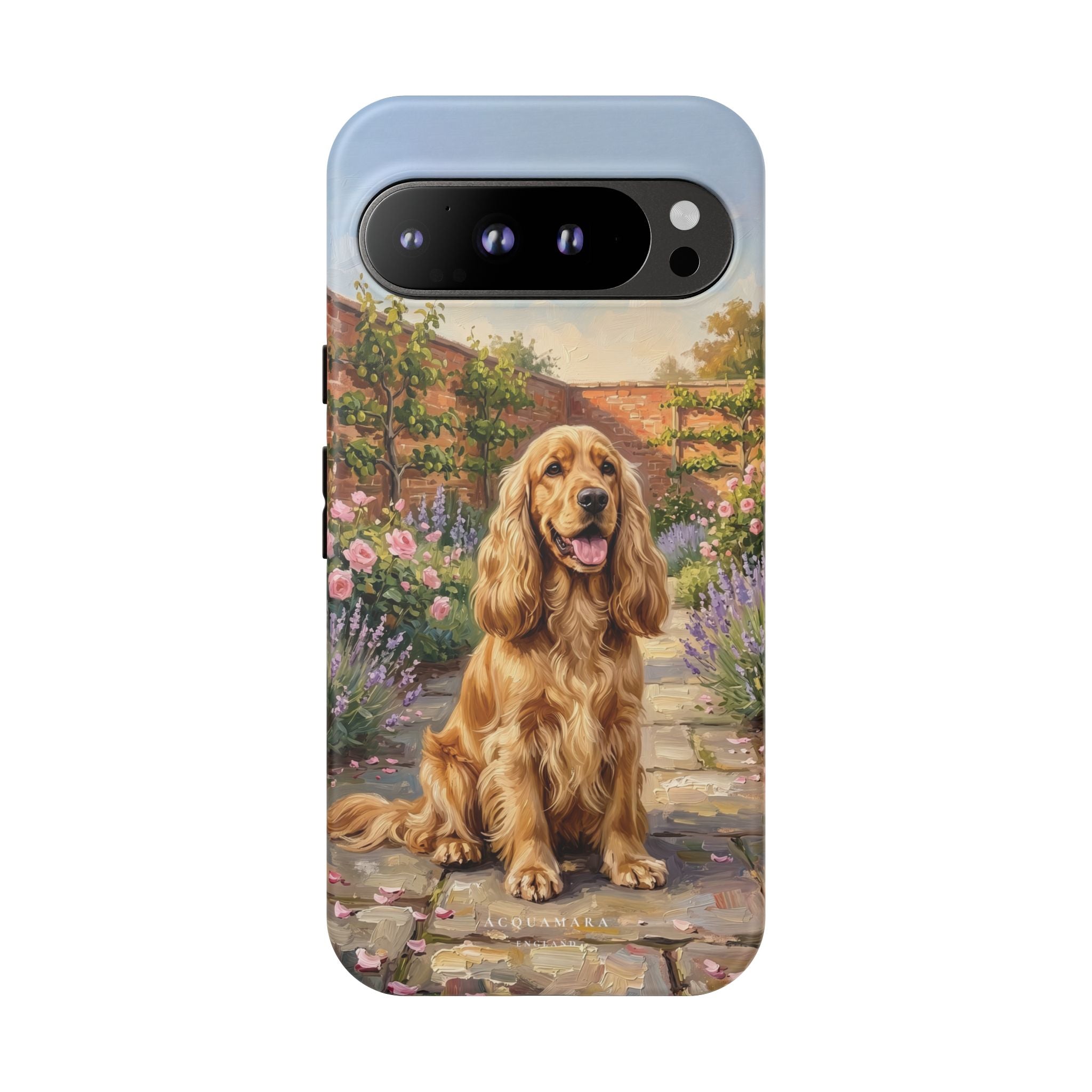 The Show Cocker (Golden)