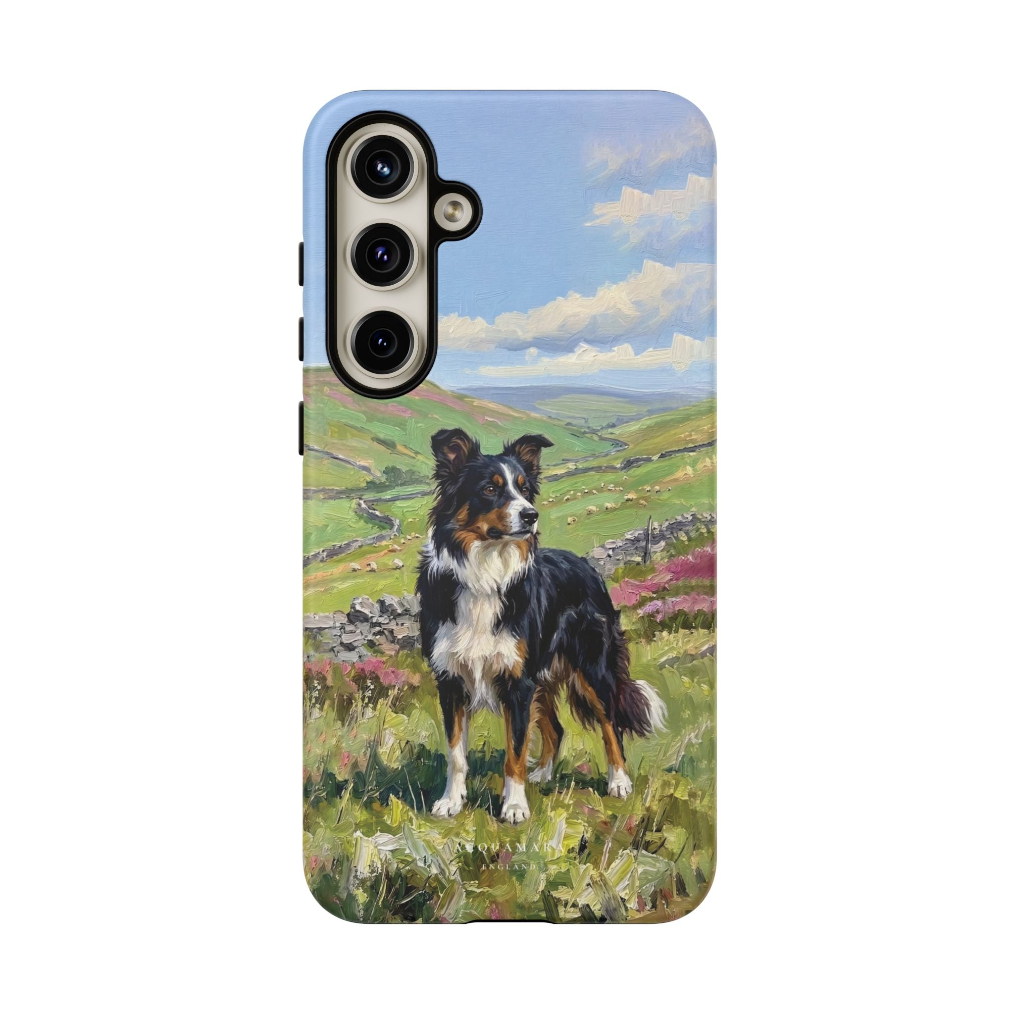 The Border Collie