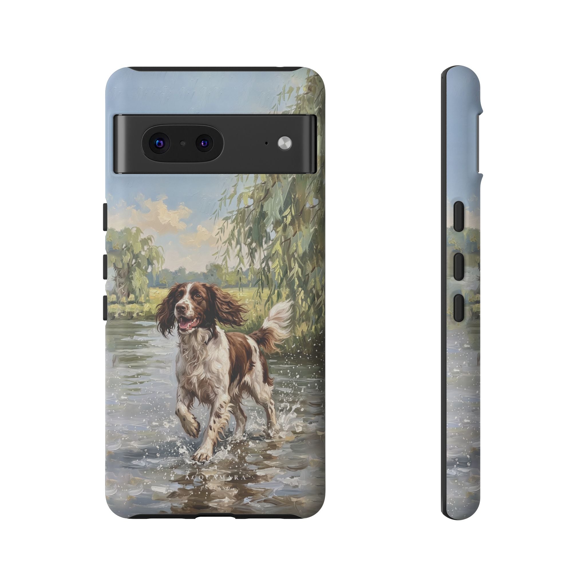 The Springer Spaniel (Liver and White)