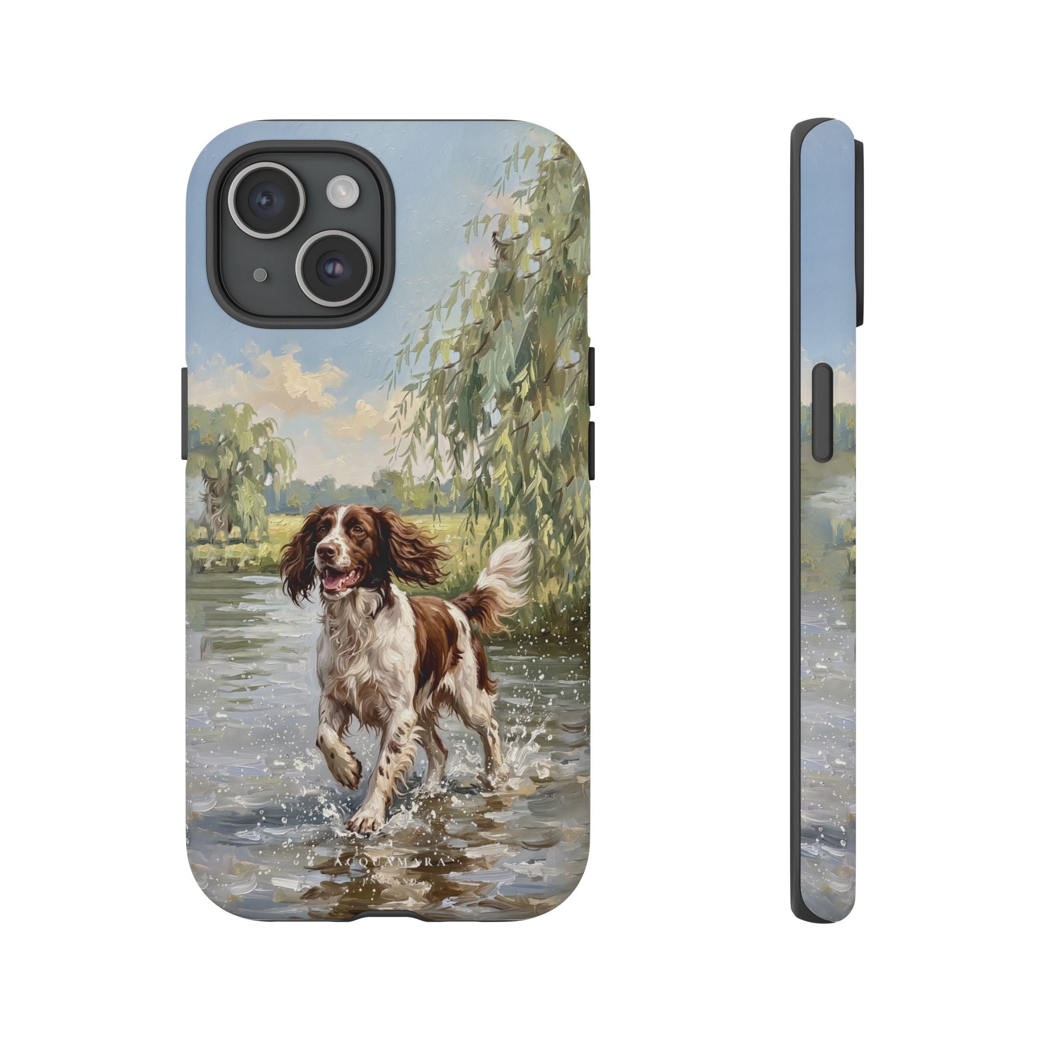 The Springer Spaniel (Liver and White)