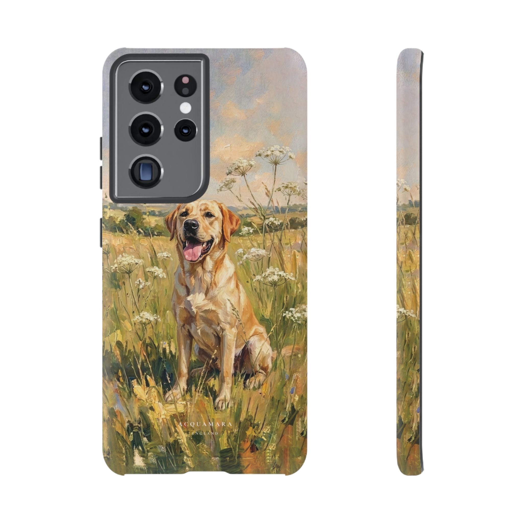 The Labrador (Yellow)