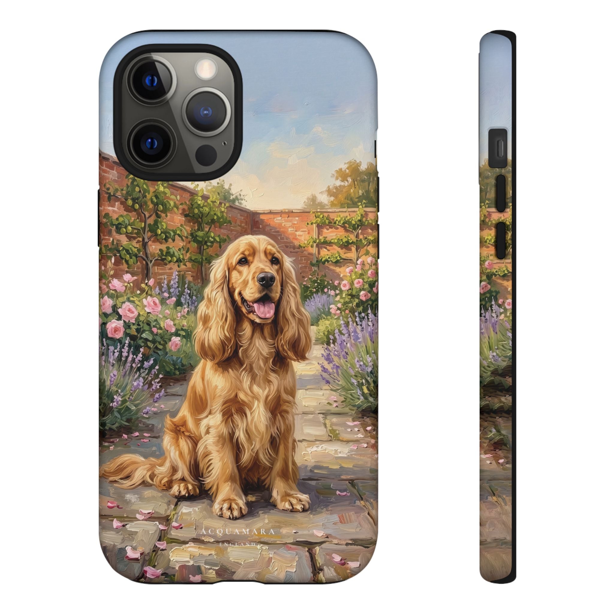 The Show Cocker (Golden)