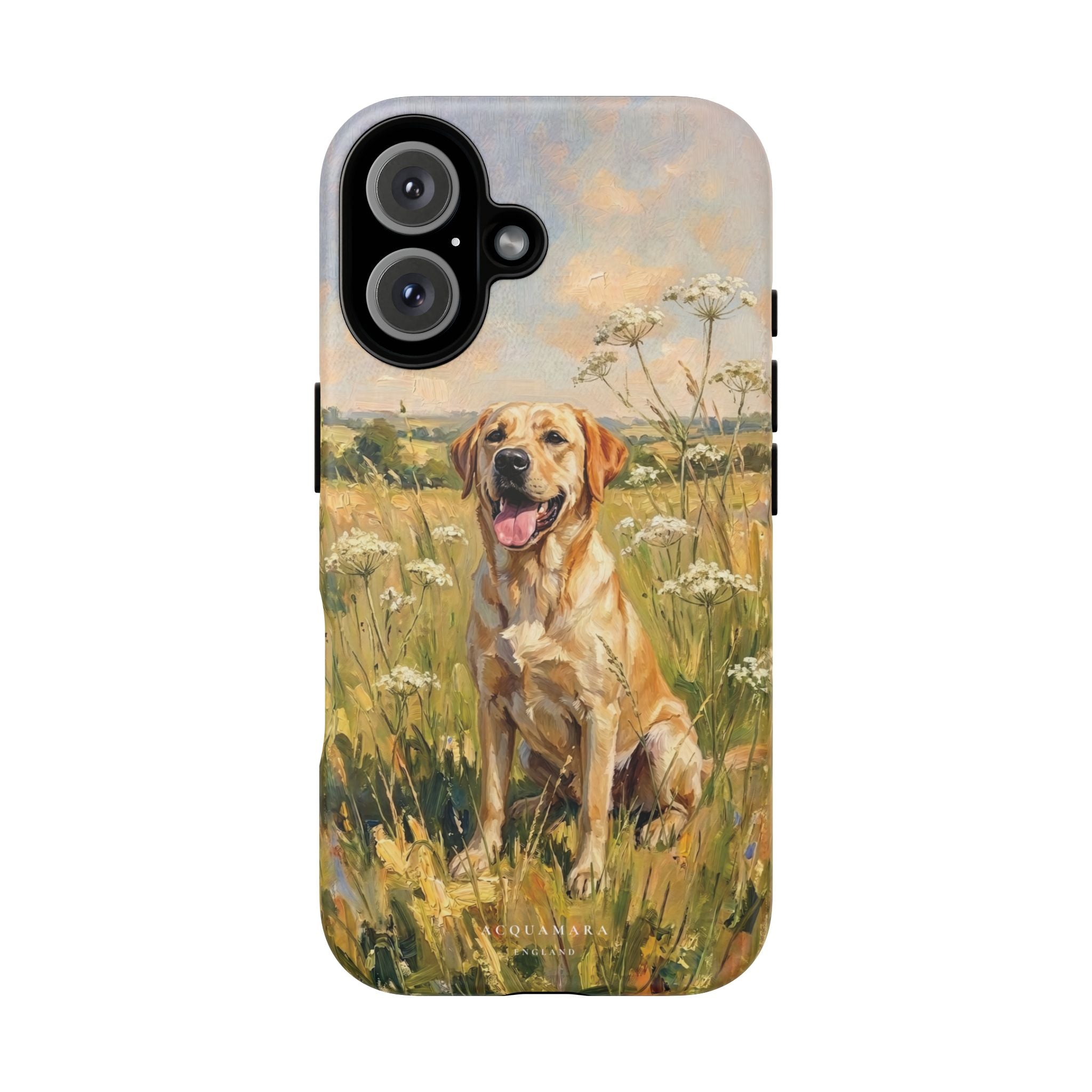 The Labrador (Yellow)