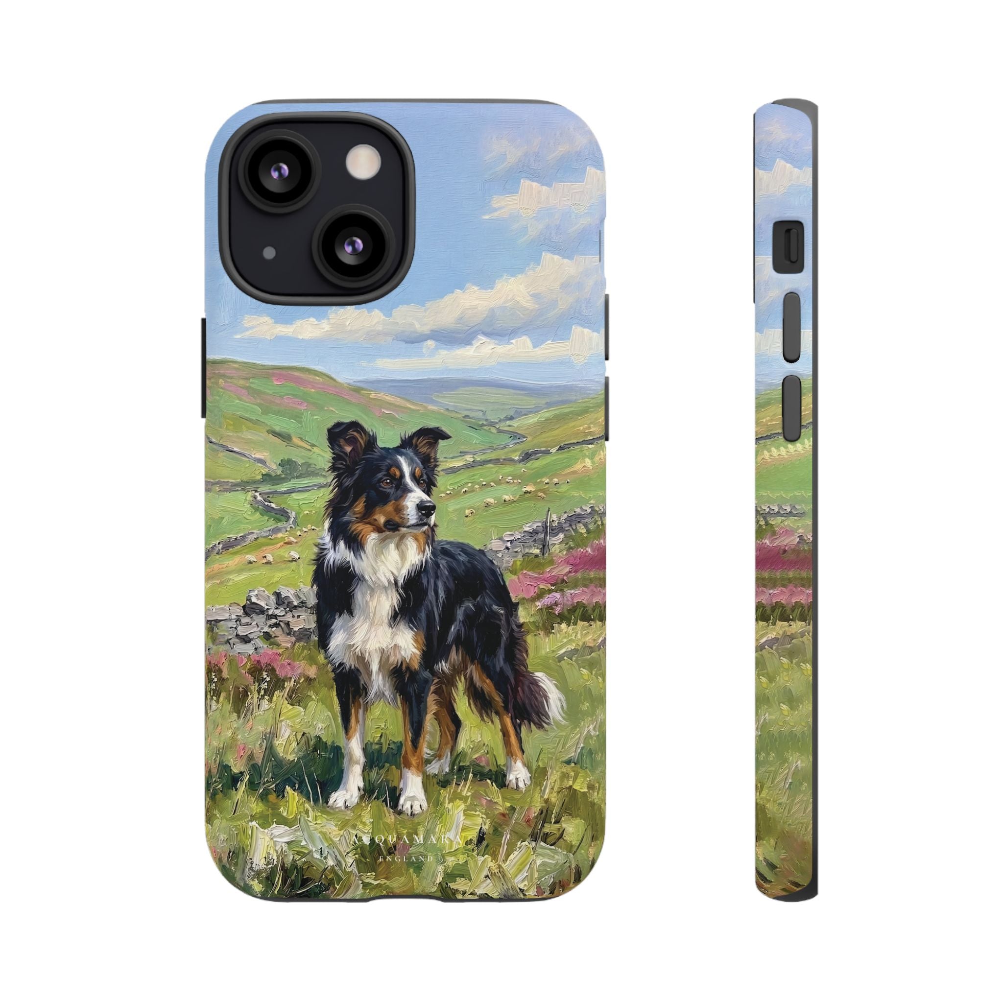 The Border Collie