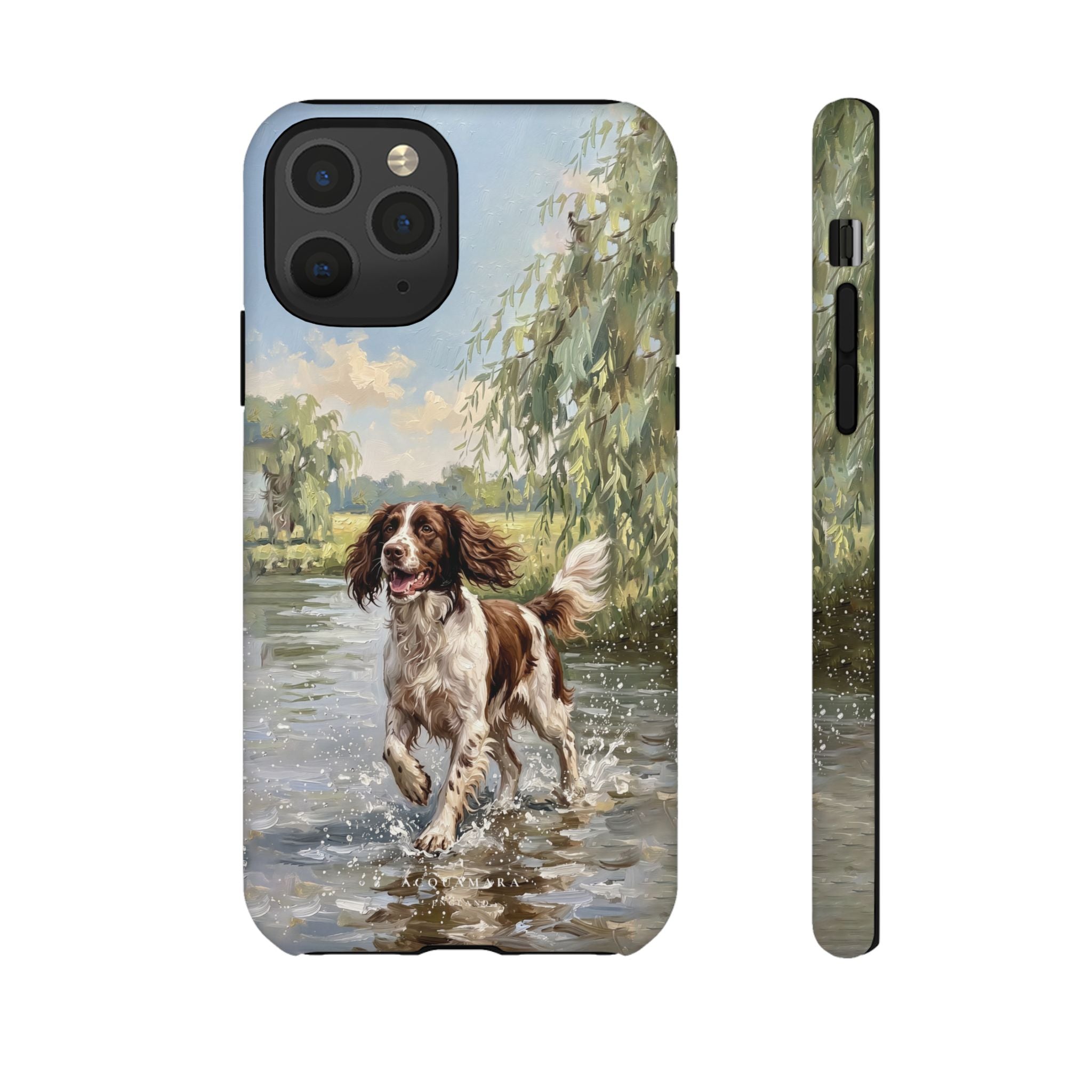 The Springer Spaniel (Liver and White)