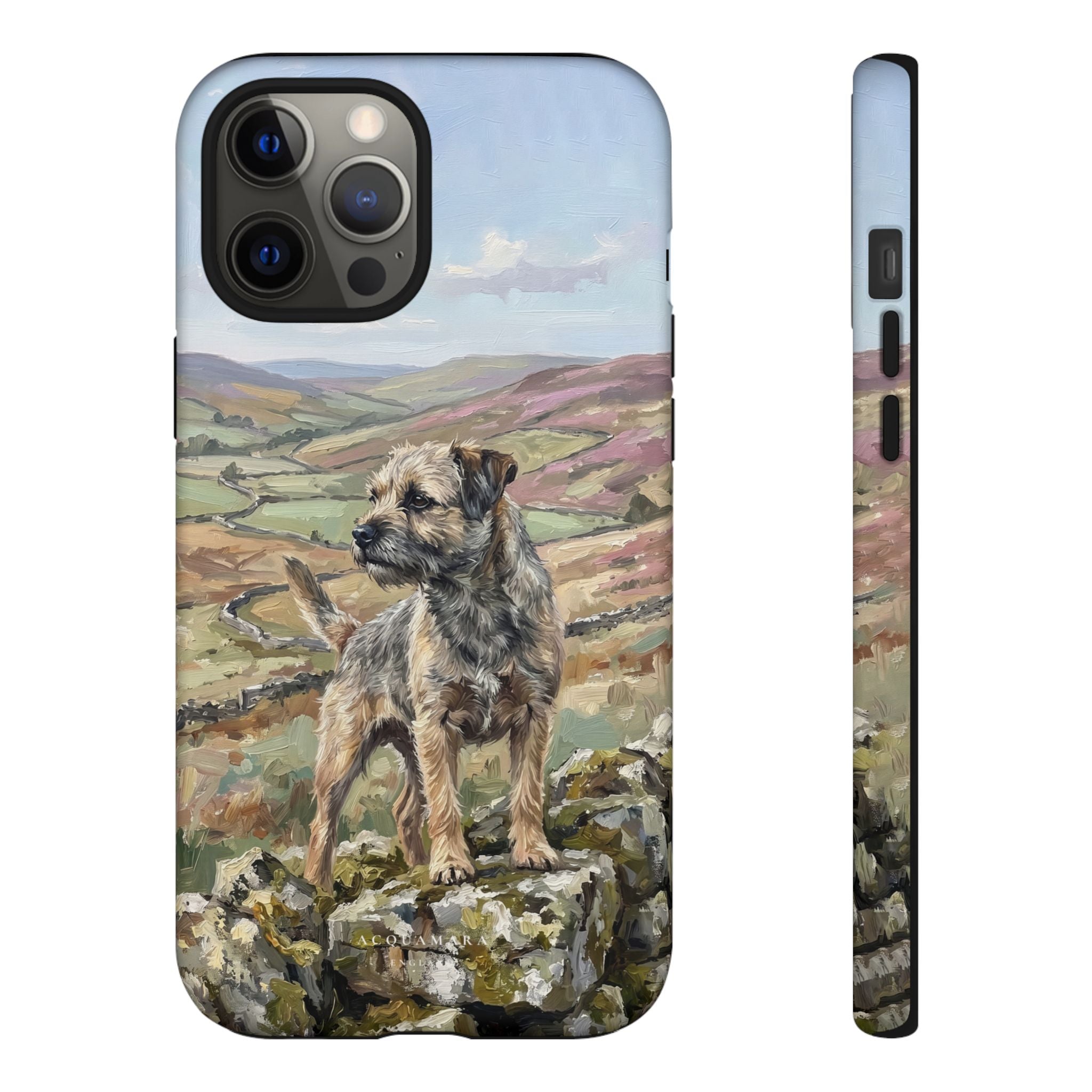 The Border Terrier (Grizzle and Tan)