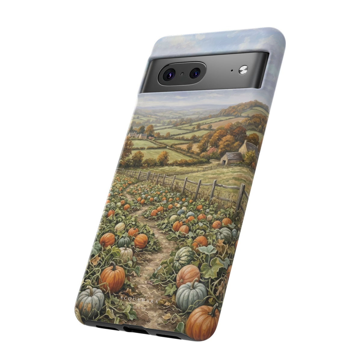 The Pumpkin Field