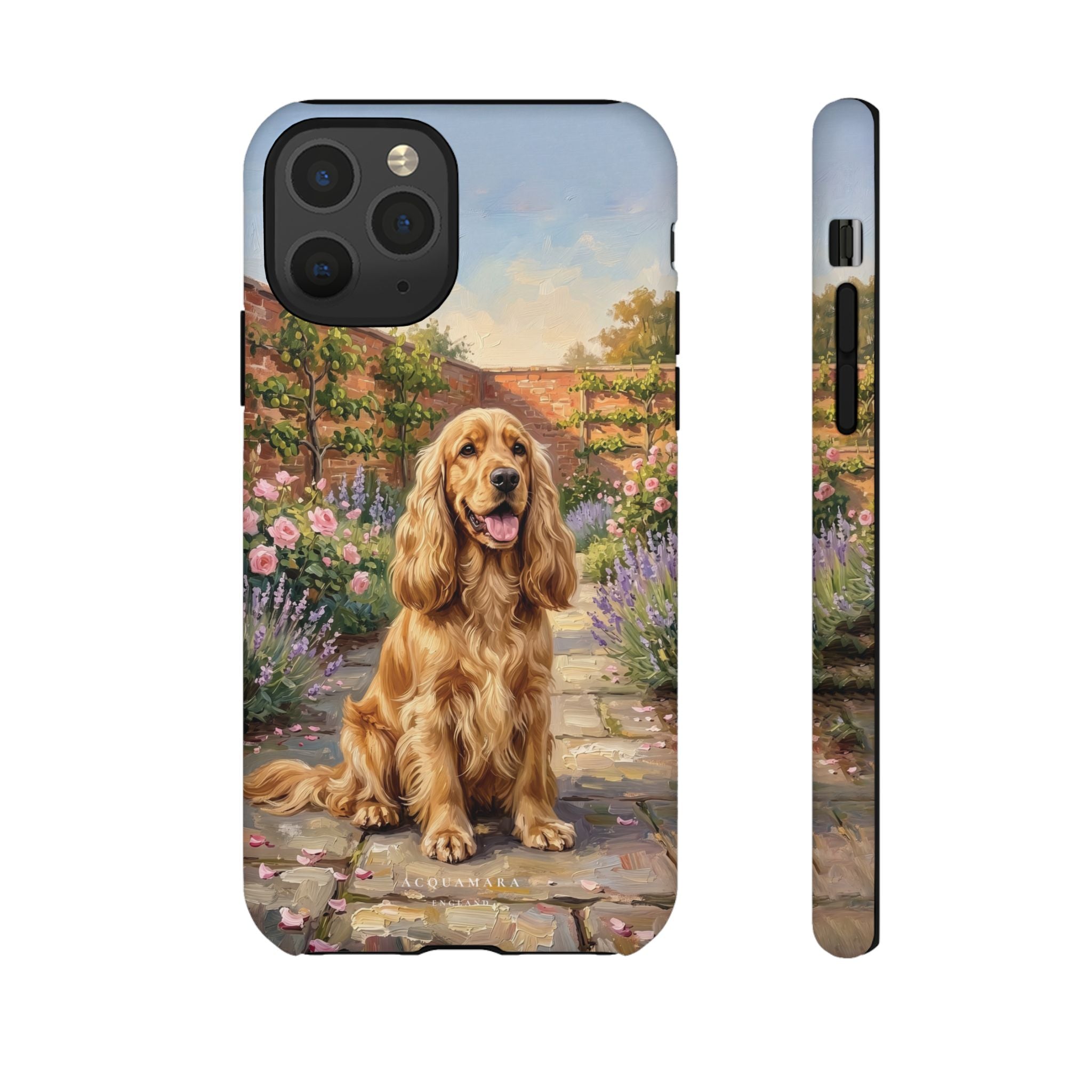 The Show Cocker (Golden)