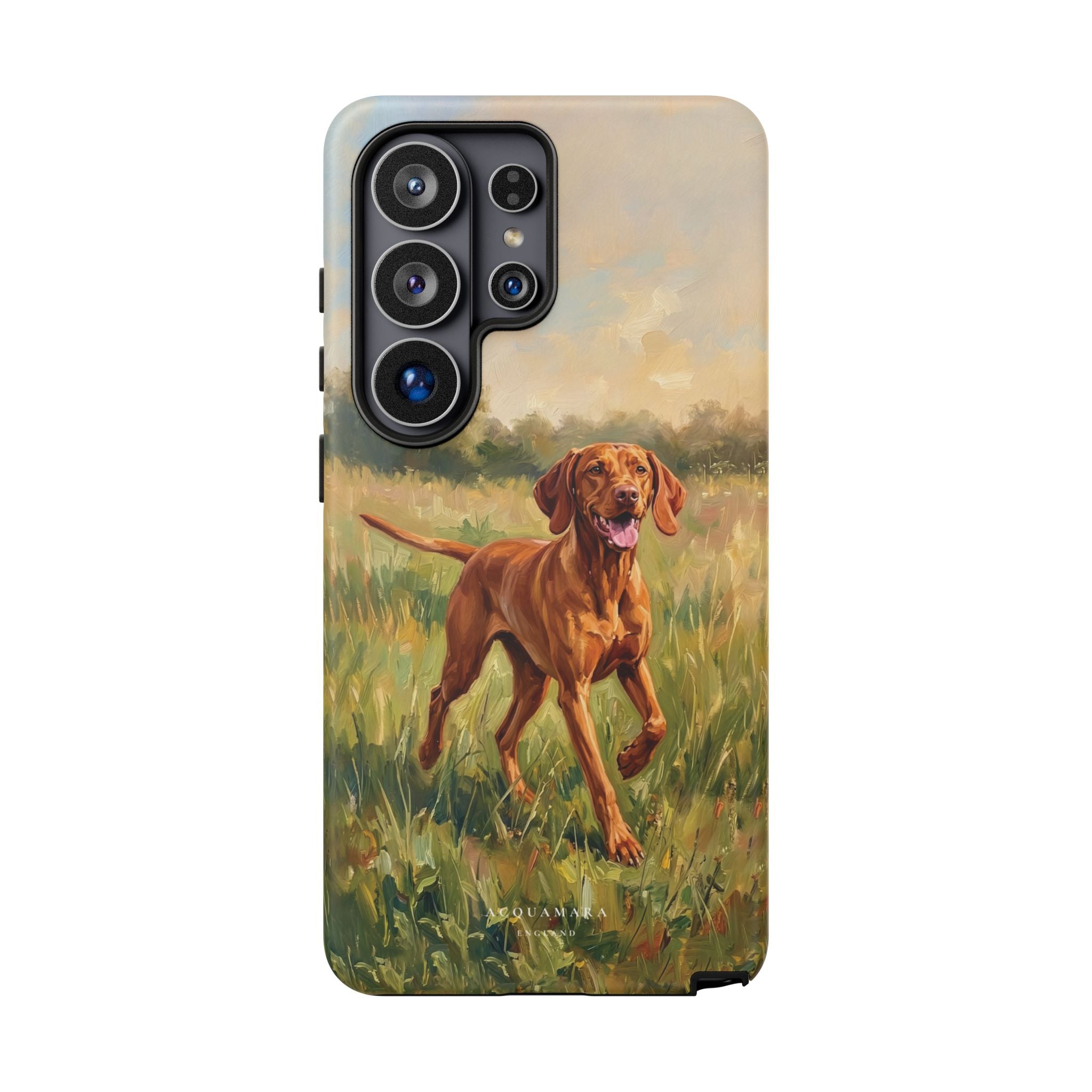 The Hungarian Vizsla