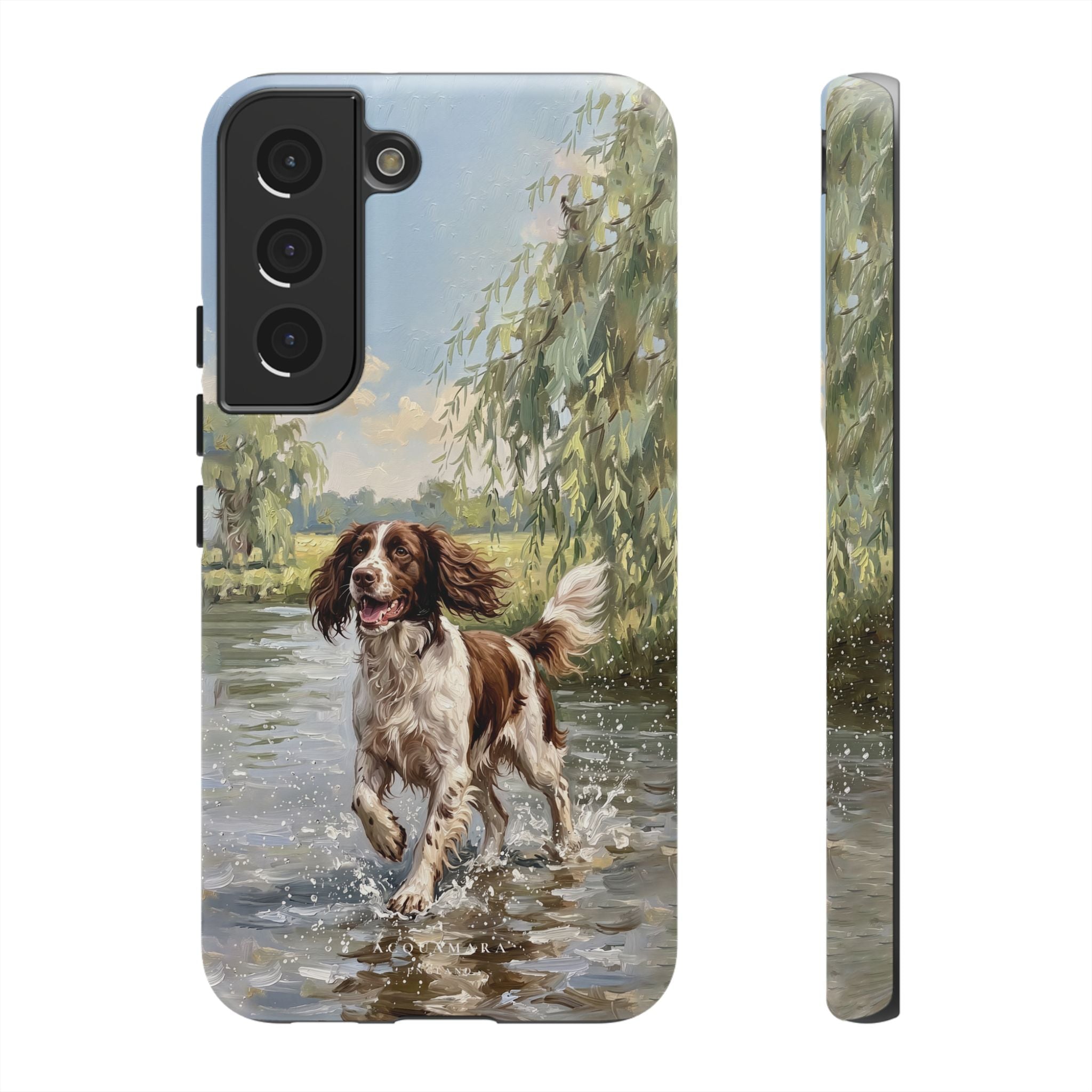 The Springer Spaniel (Liver and White)