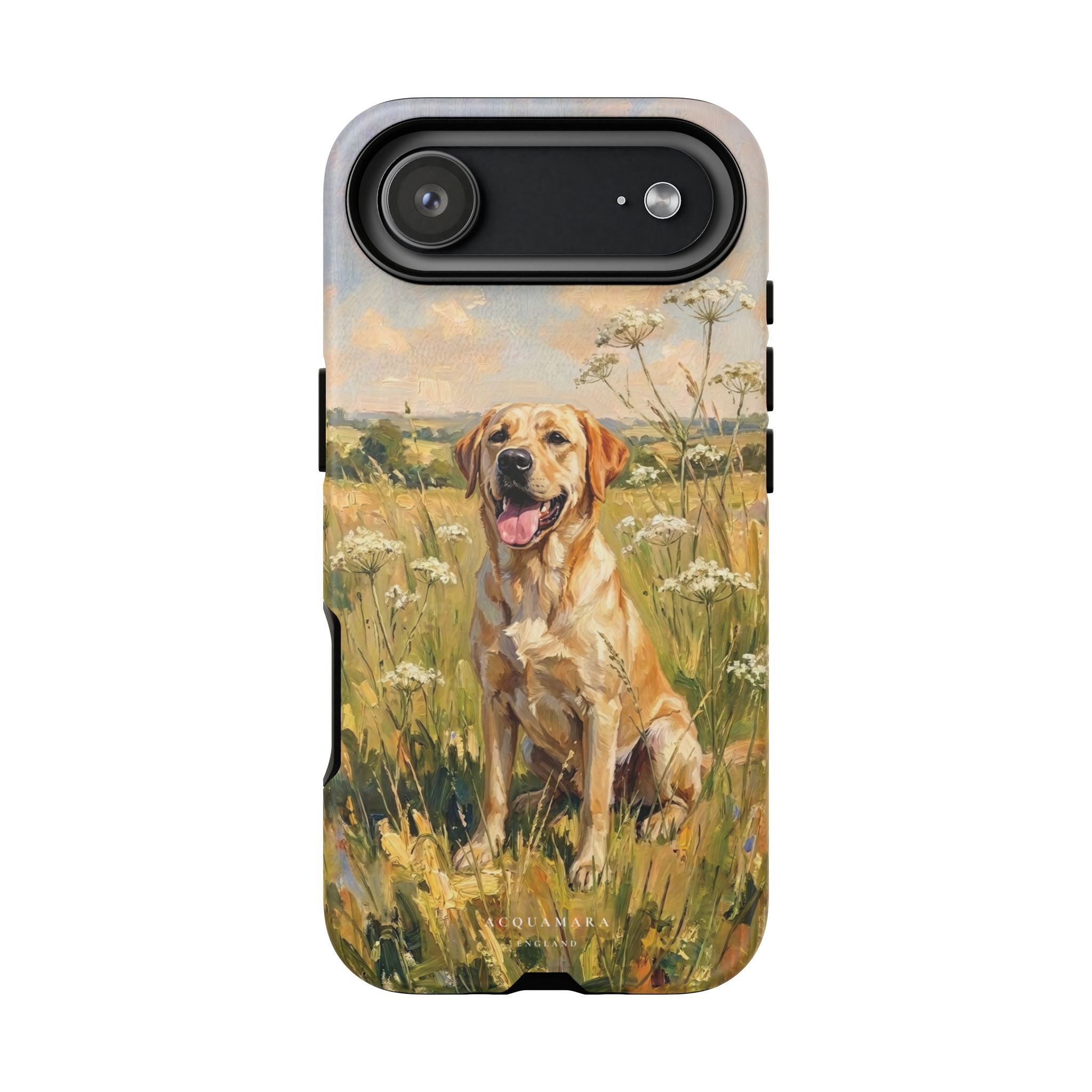 The Labrador (Yellow)