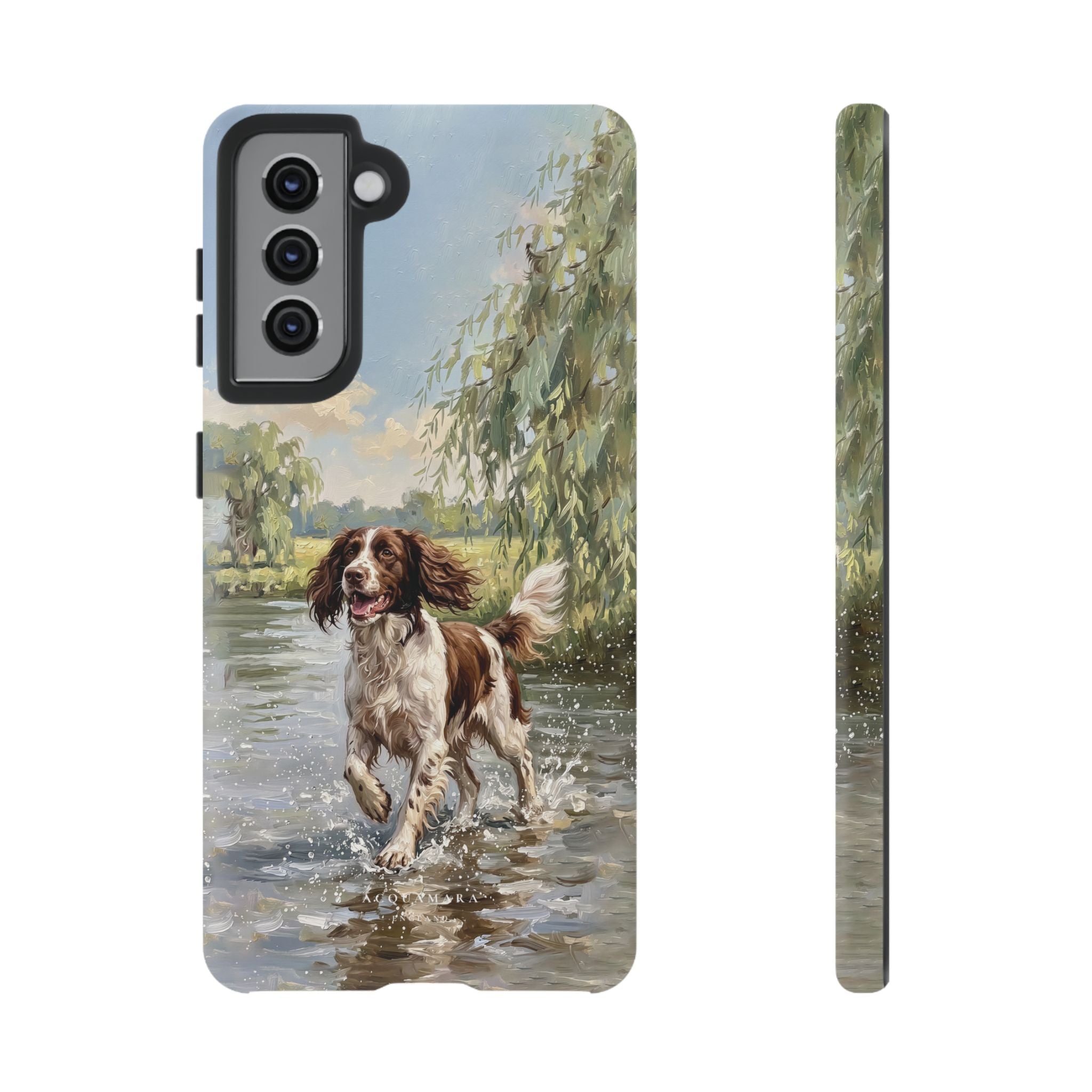 The Springer Spaniel (Liver and White)