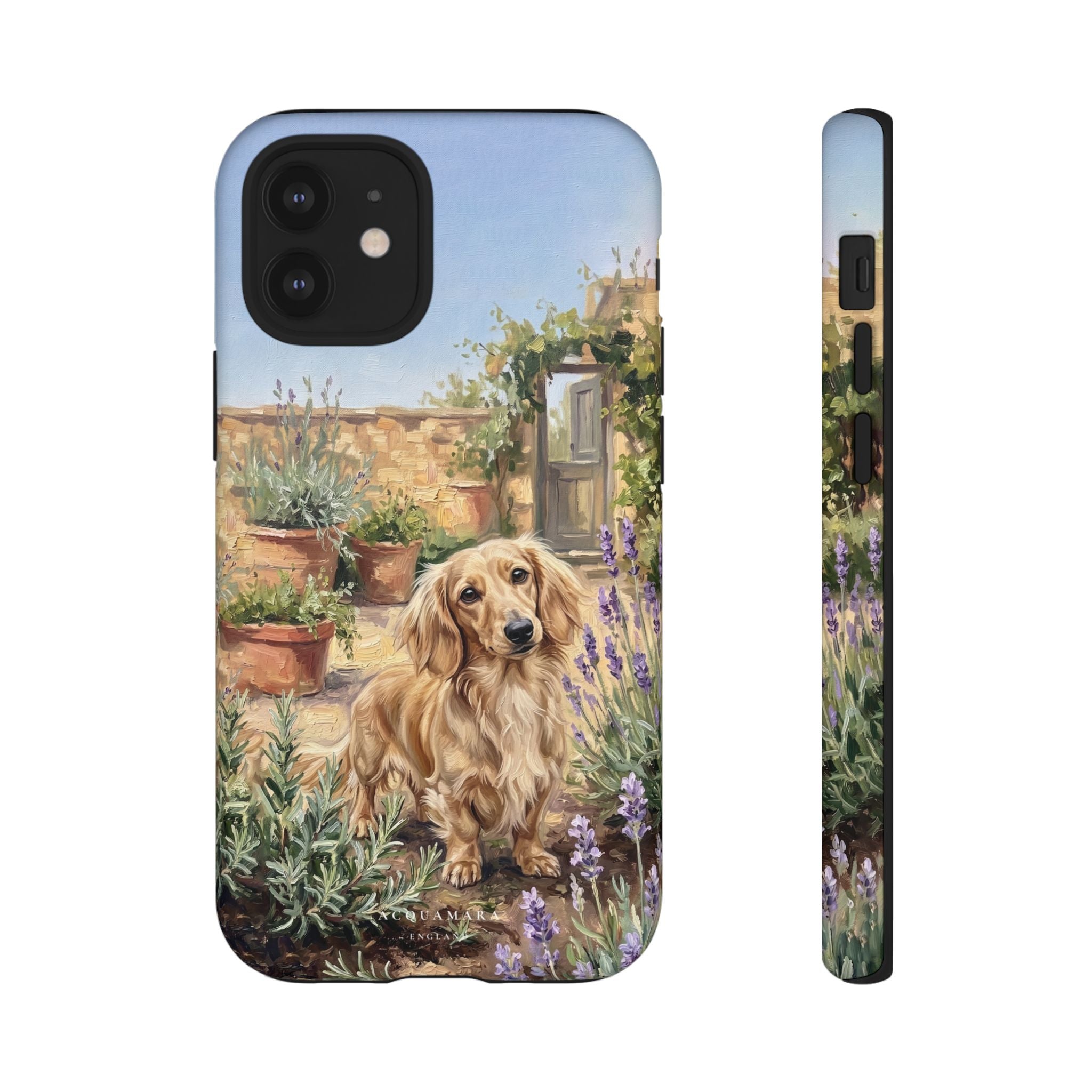 The Dachshund (Blonde long hair)