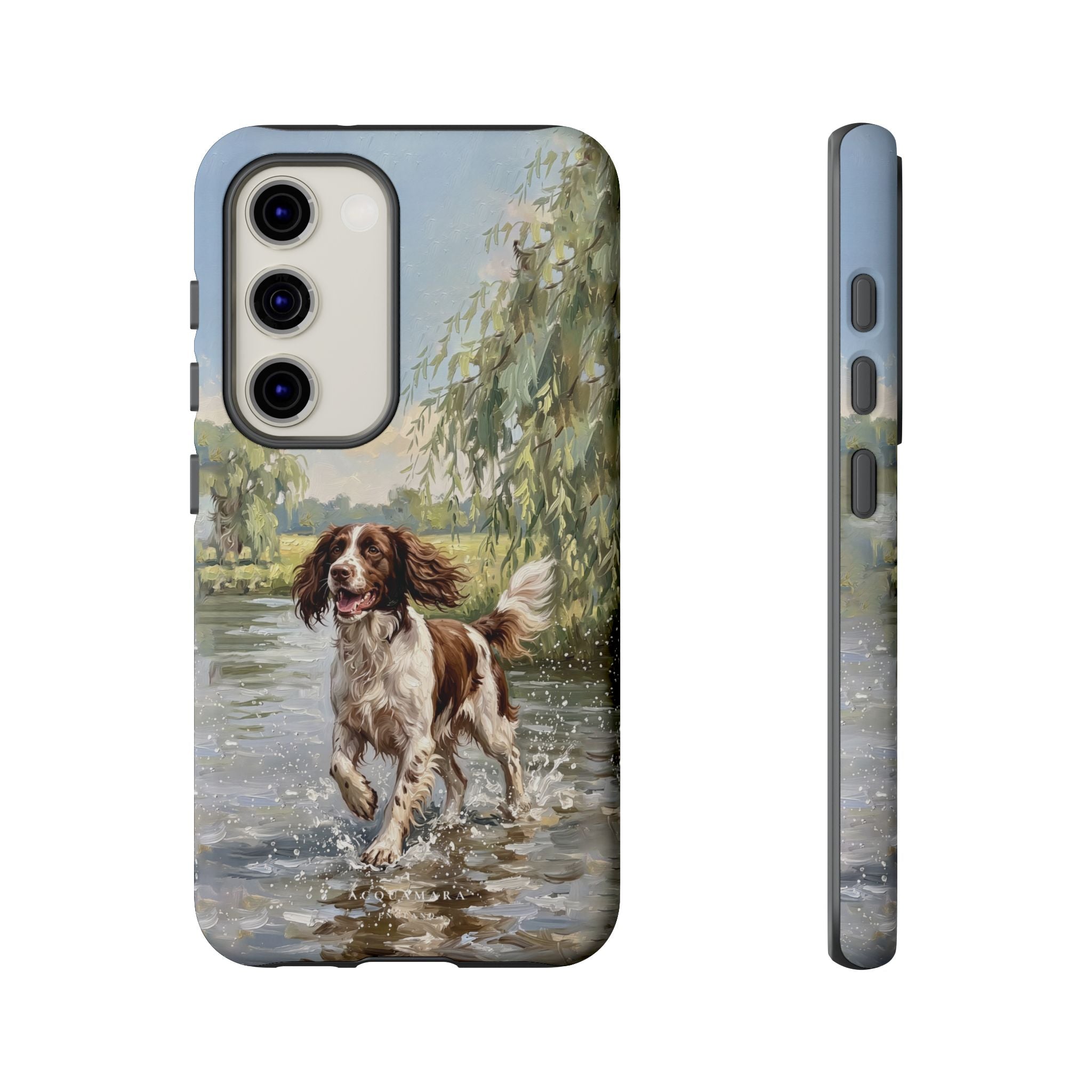 The Springer Spaniel (Liver and White)