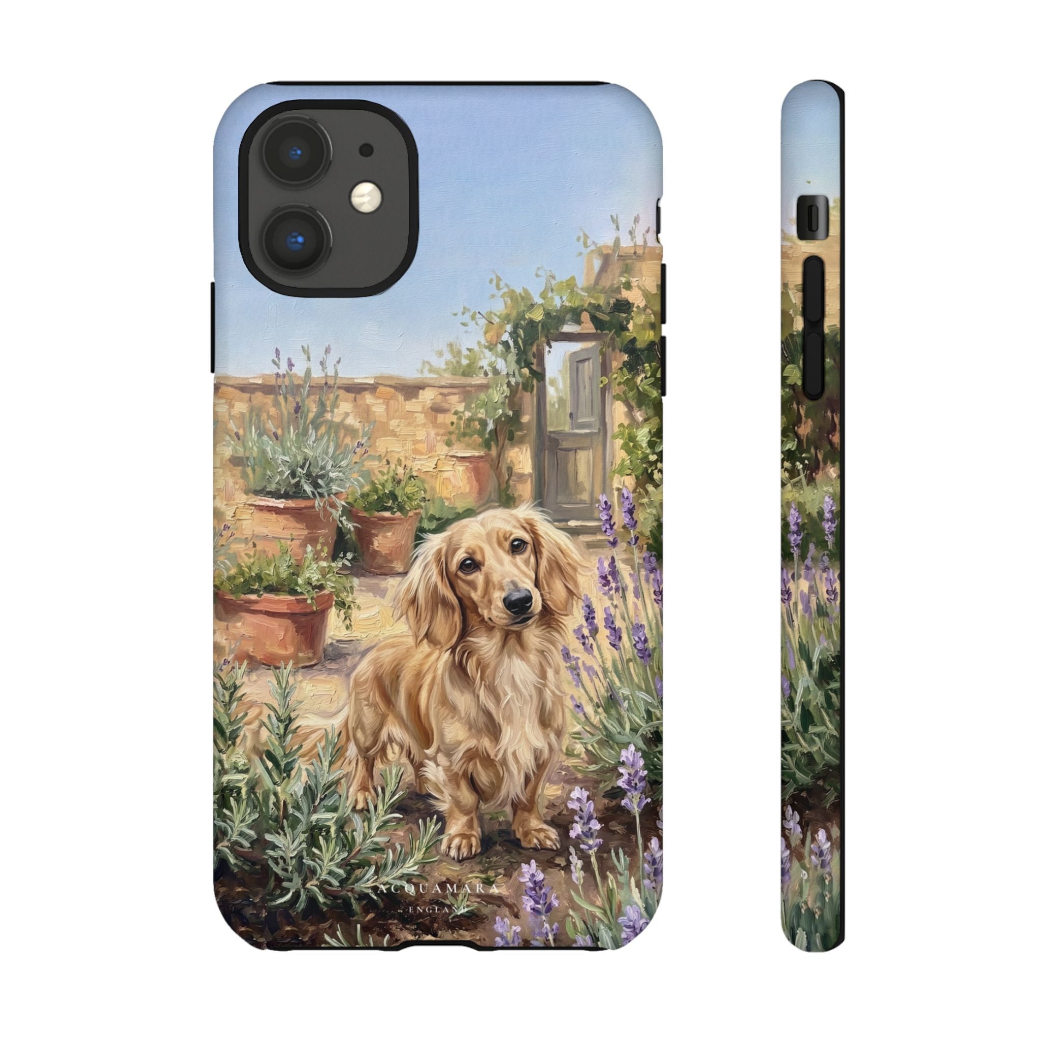The Dachshund (Blonde long hair)