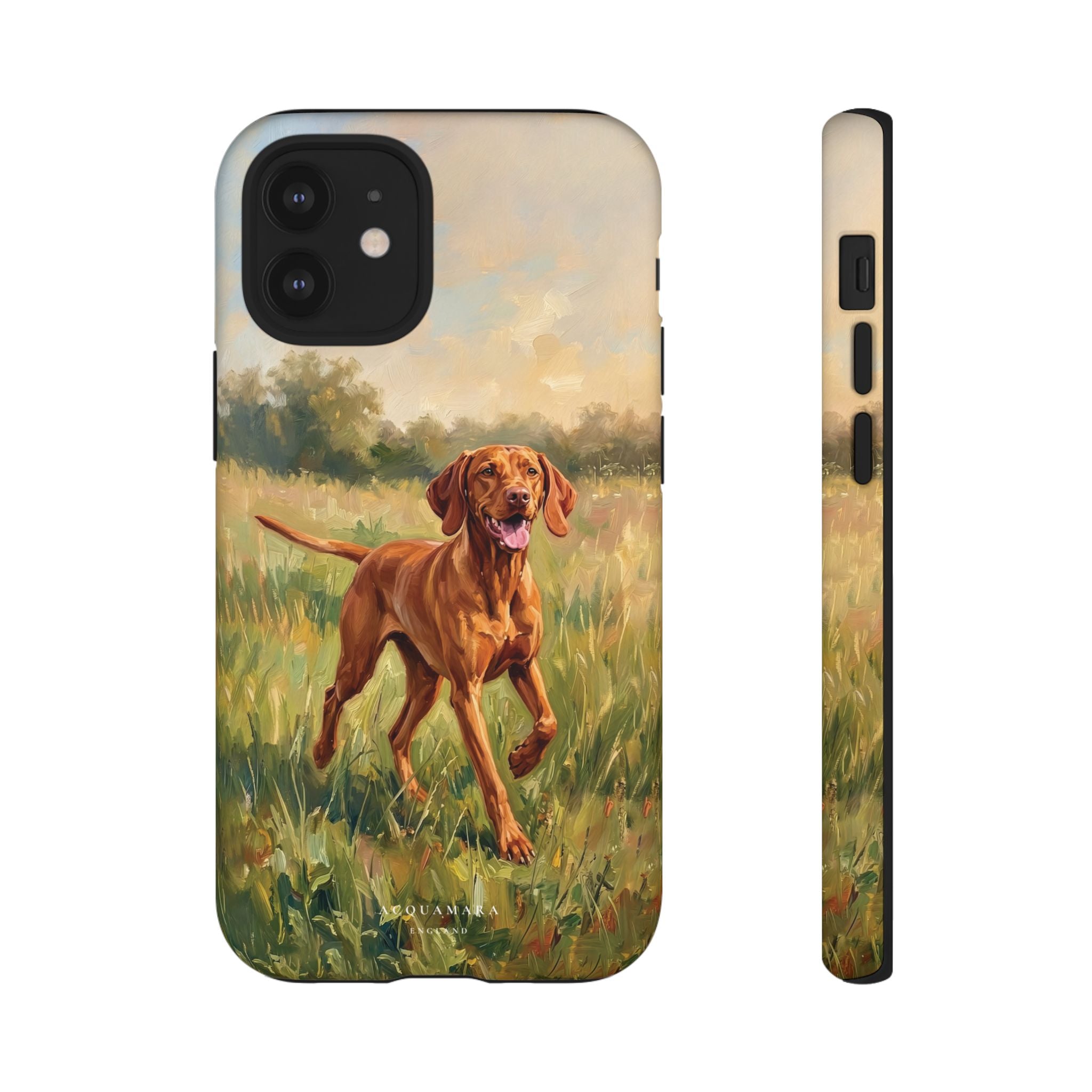 The Hungarian Vizsla