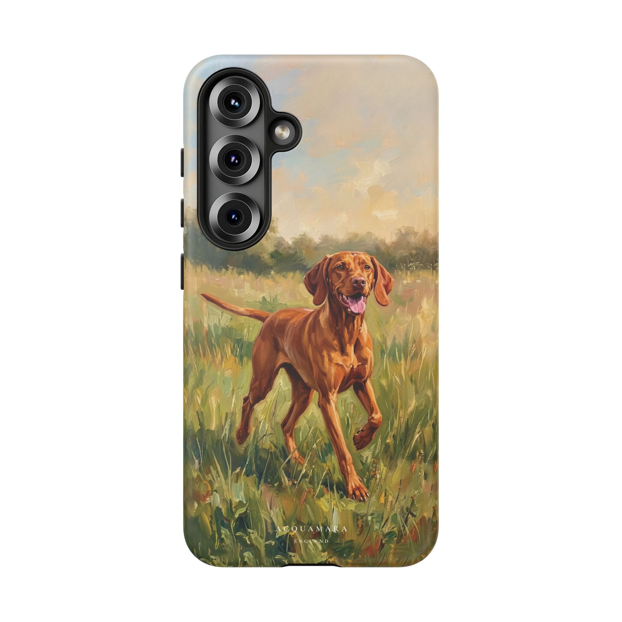 The Hungarian Vizsla