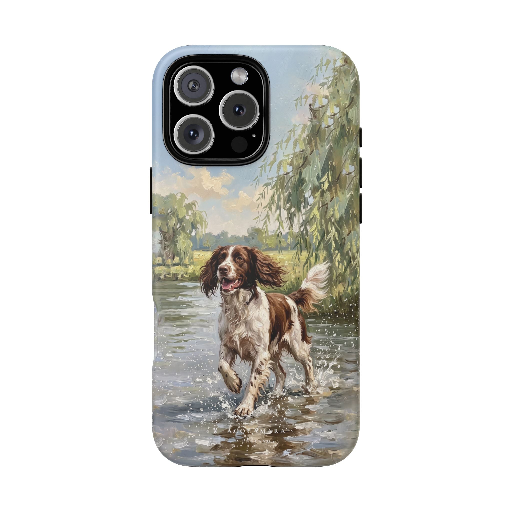 The Springer Spaniel (Liver and White)