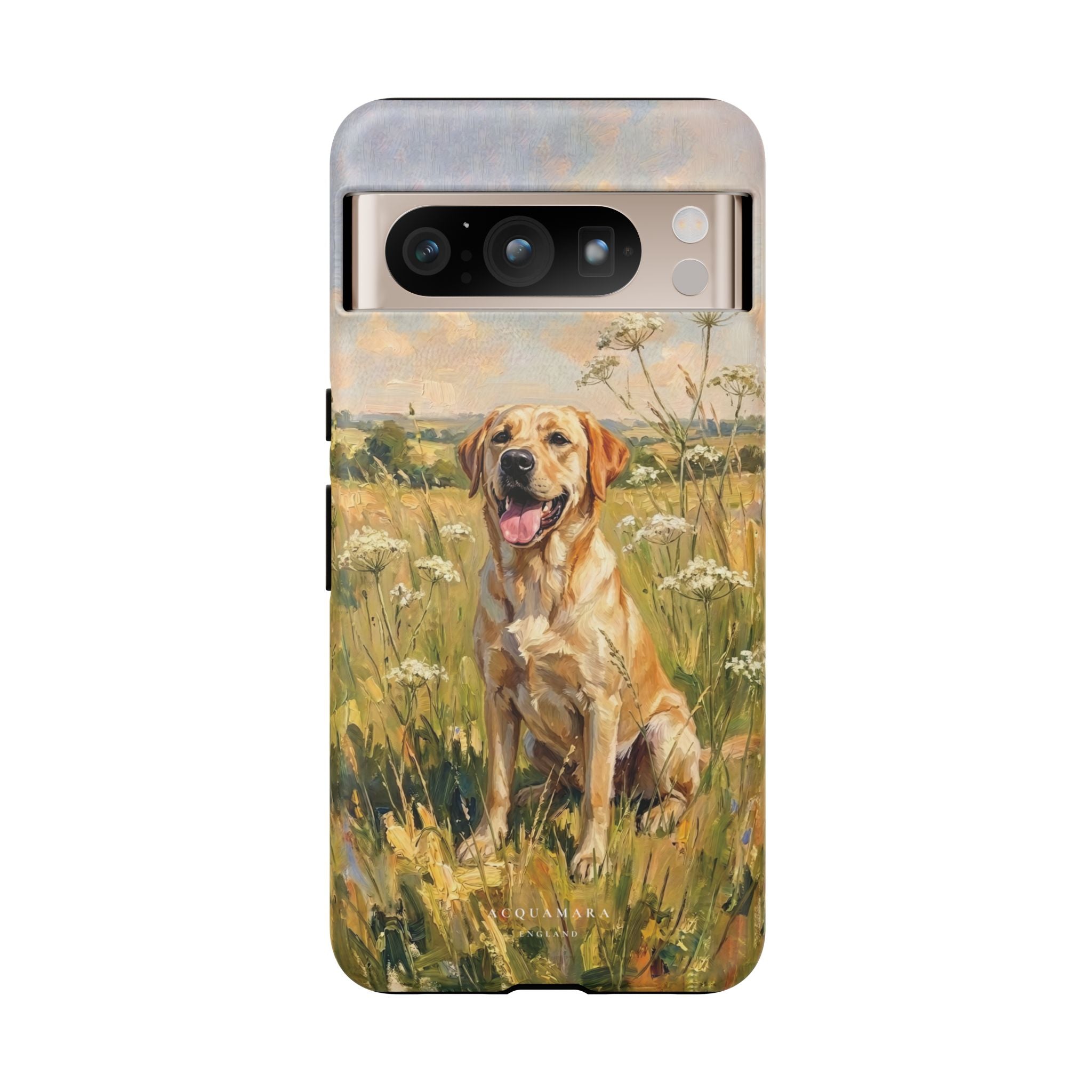 The Labrador (Yellow)