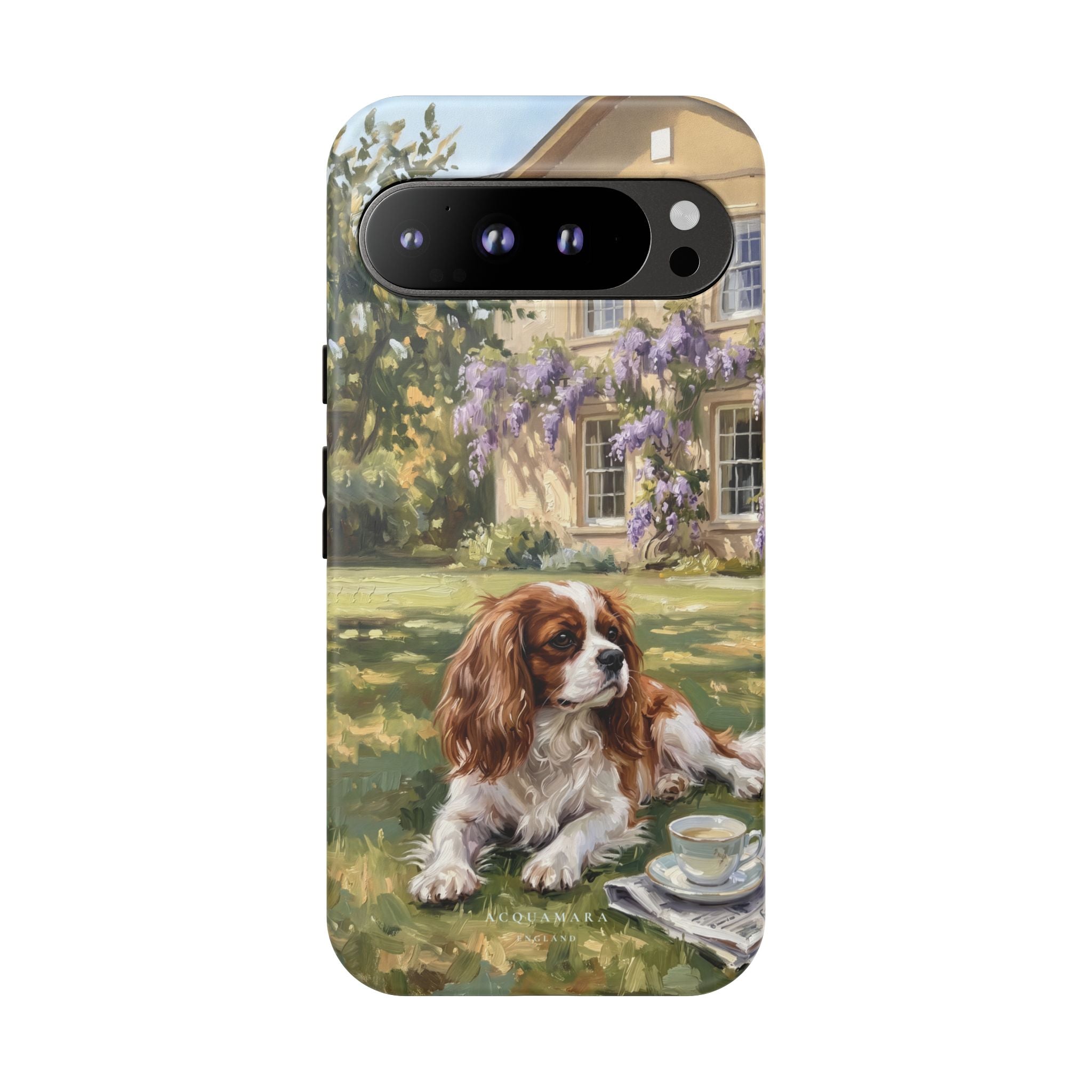 The Cavalier King Charles Spaniel