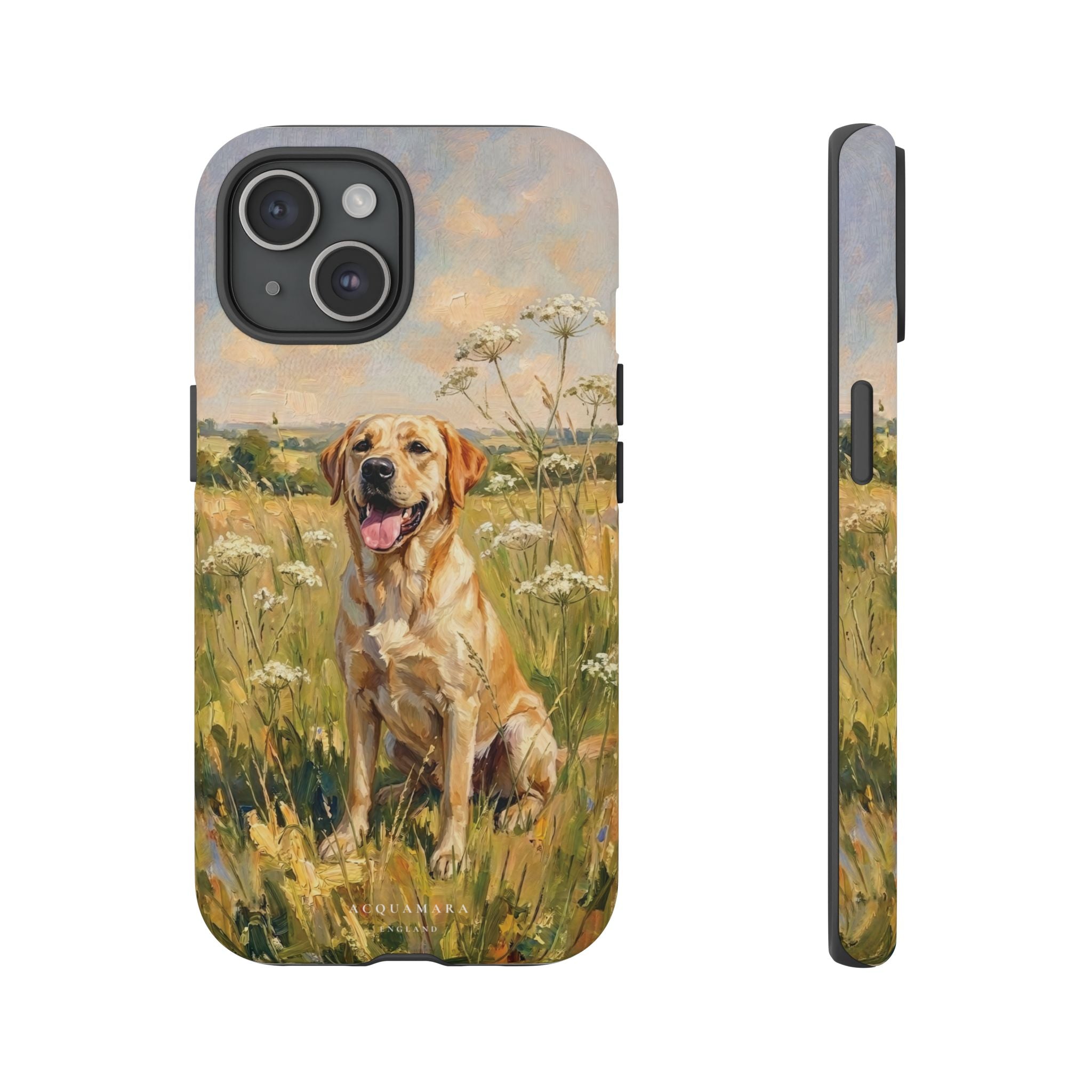 The Labrador (Yellow)