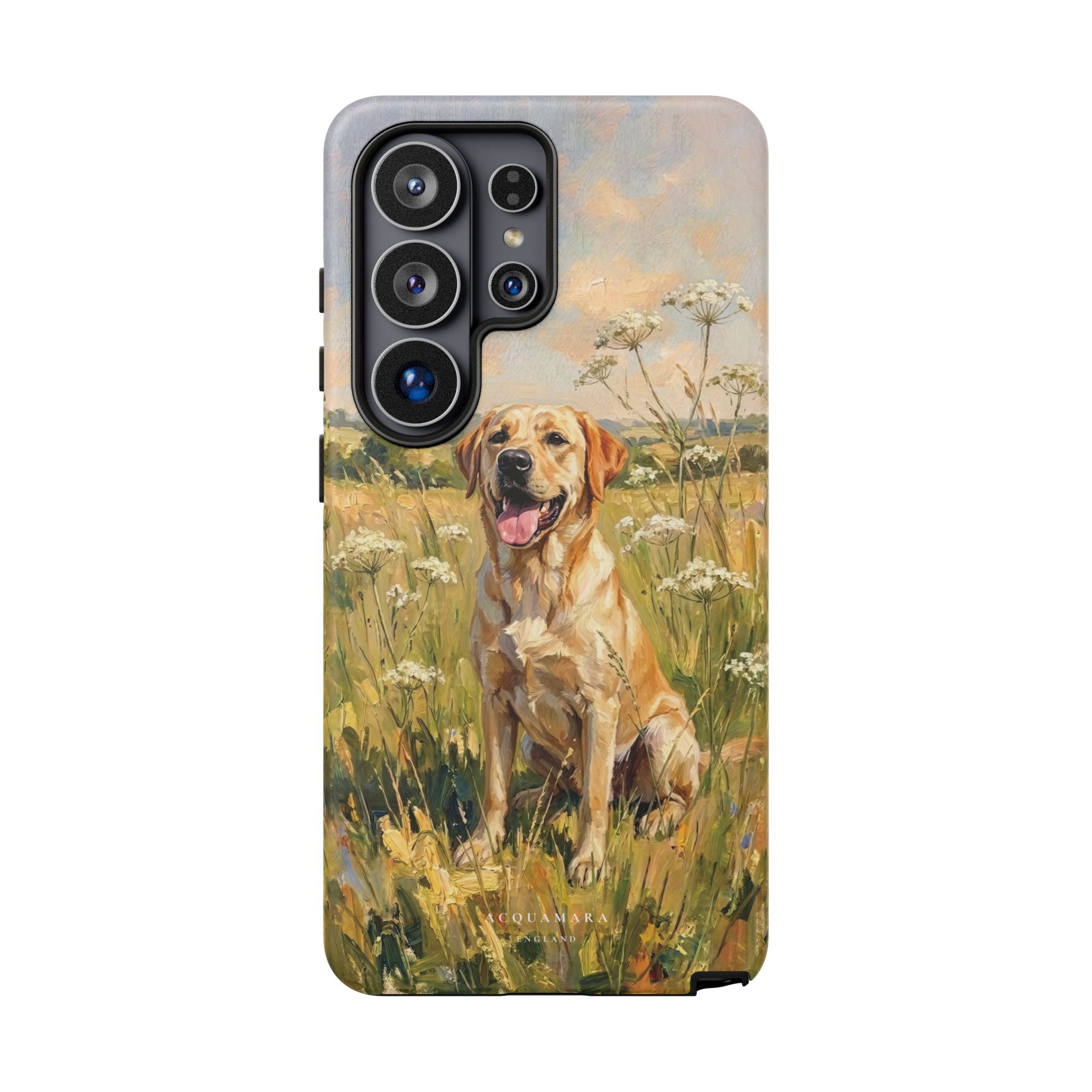 The Labrador (Yellow)