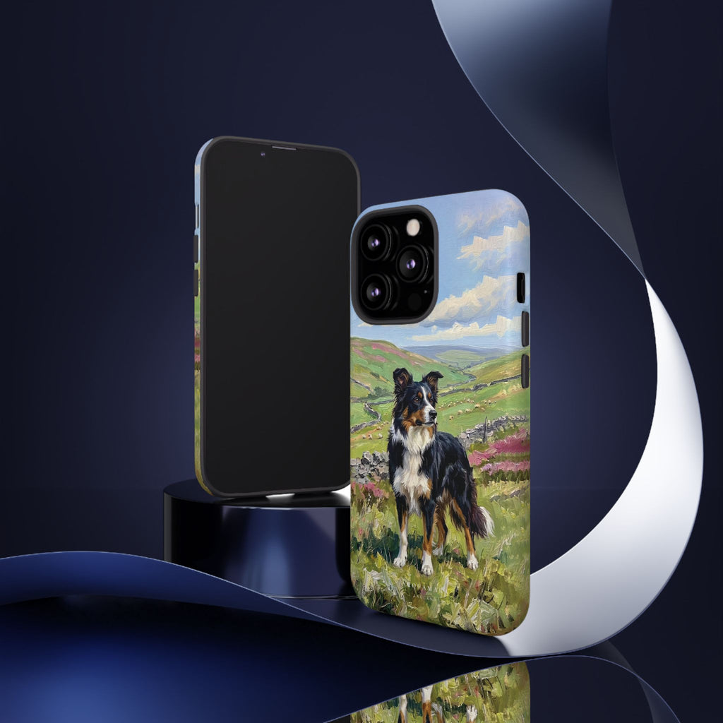 The Border Collie