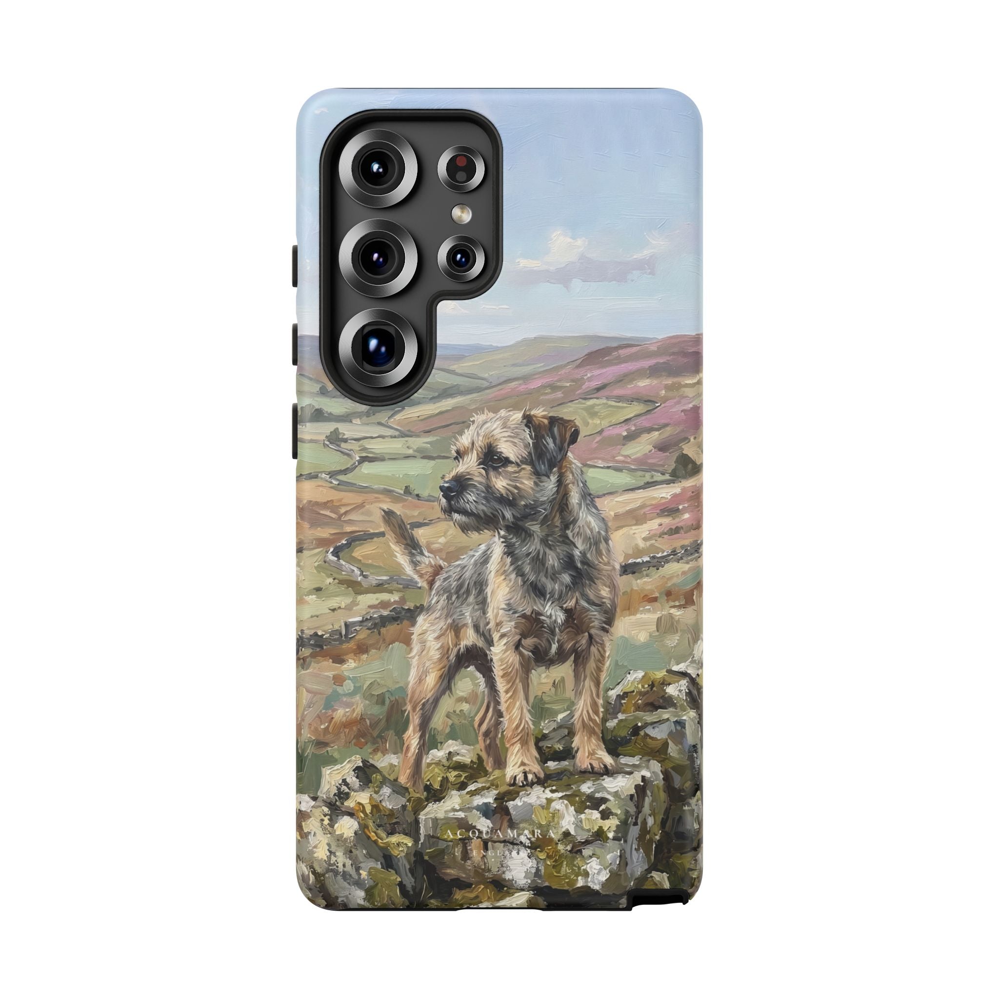 The Border Terrier (Grizzle and Tan)