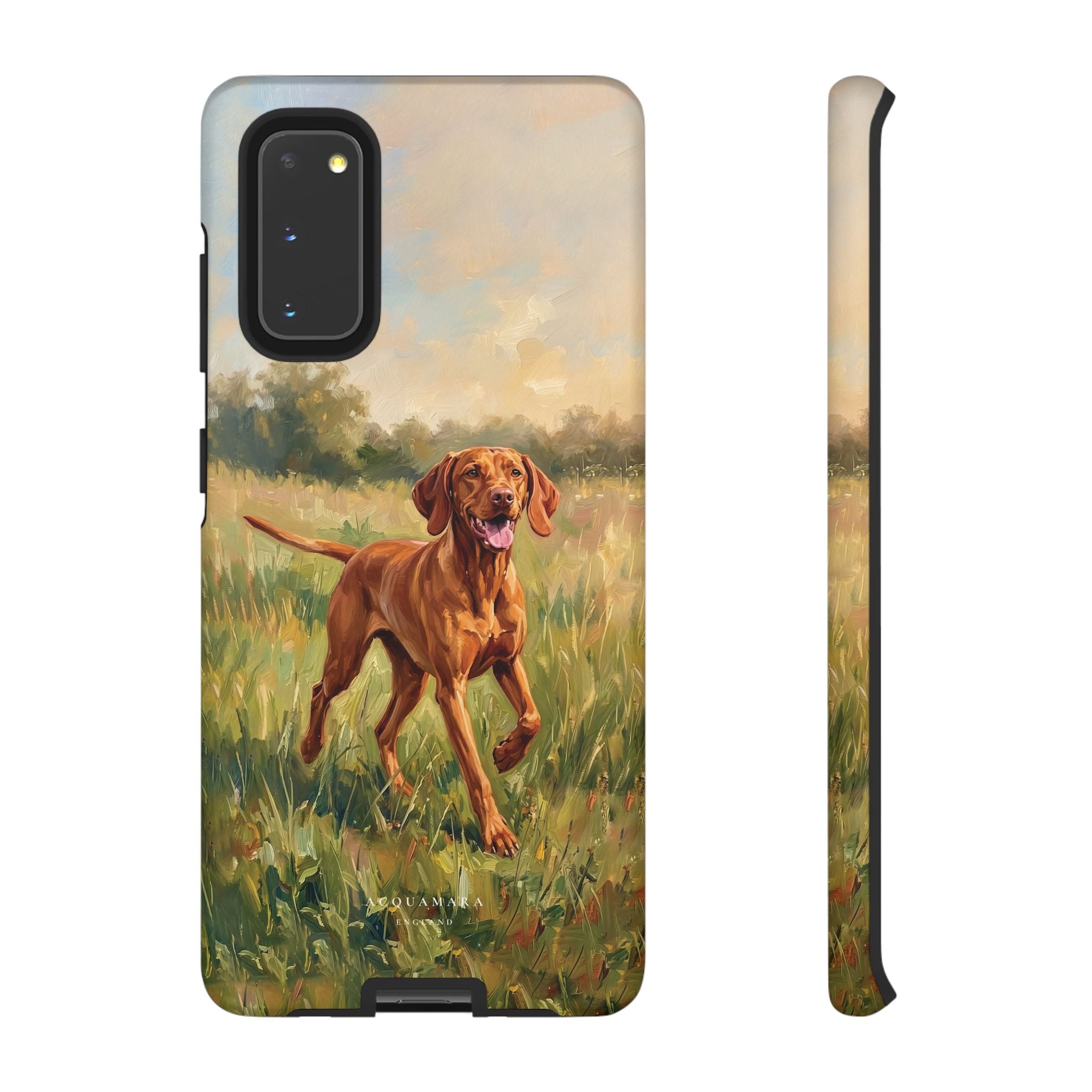 The Hungarian Vizsla