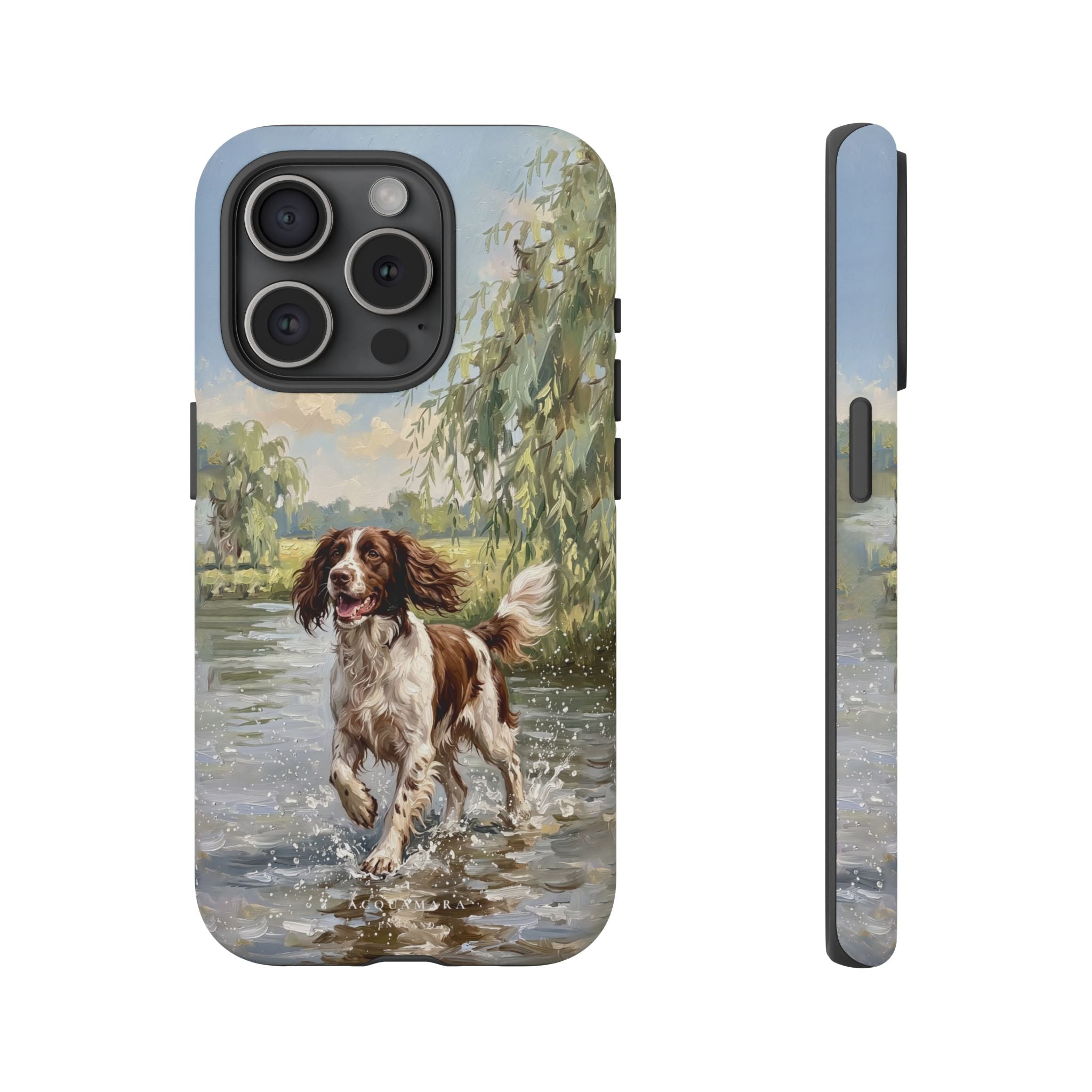The Springer Spaniel (Liver and White)