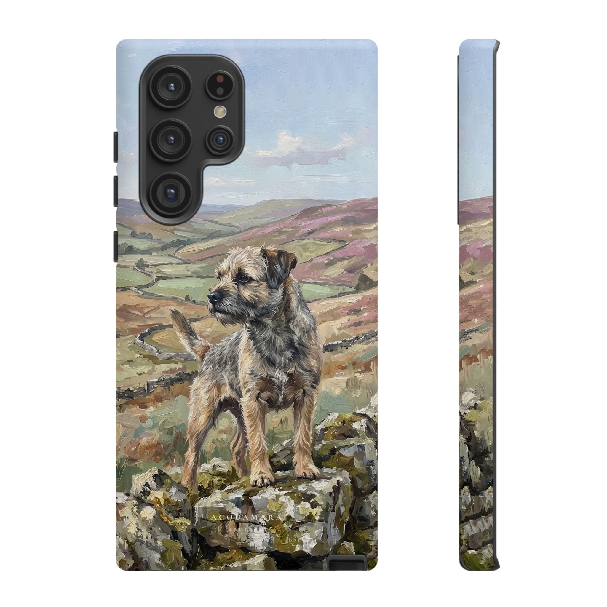 The Border Terrier (Grizzle and Tan)