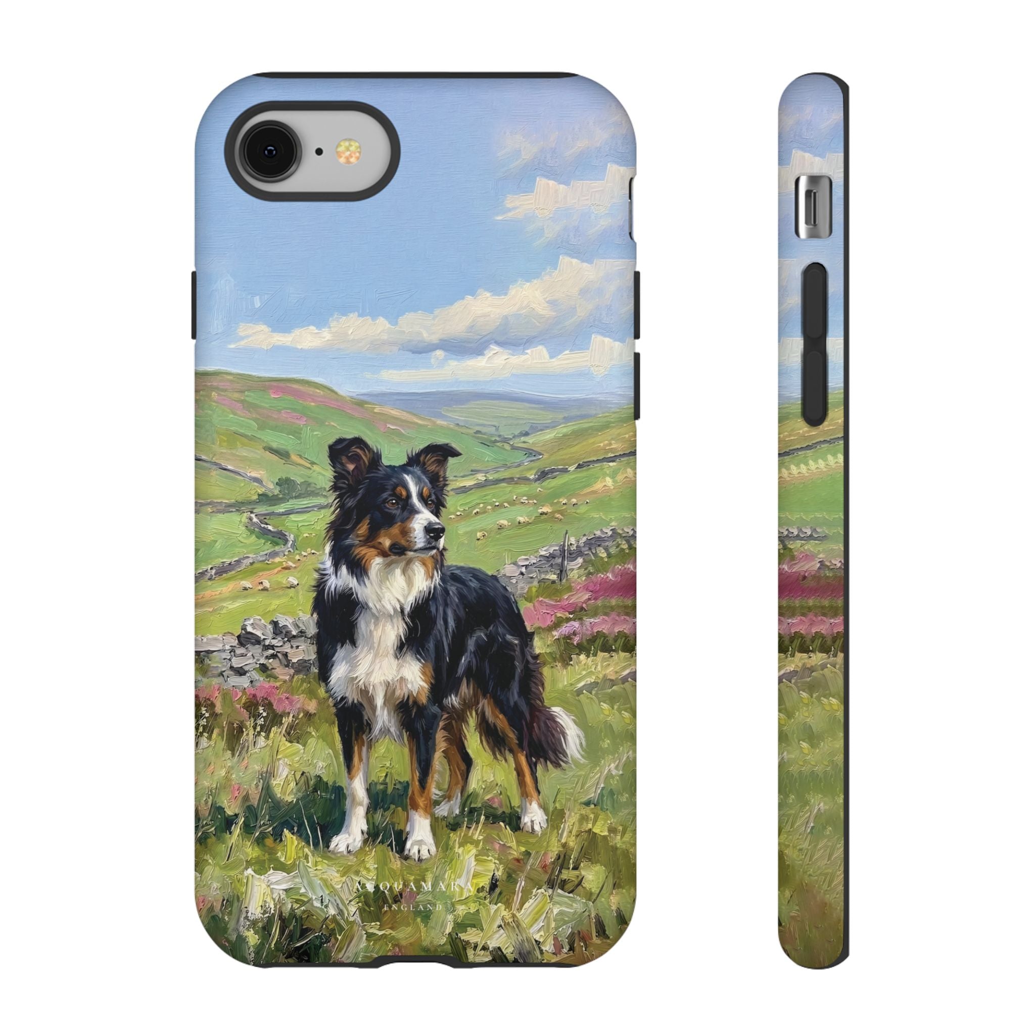 The Border Collie