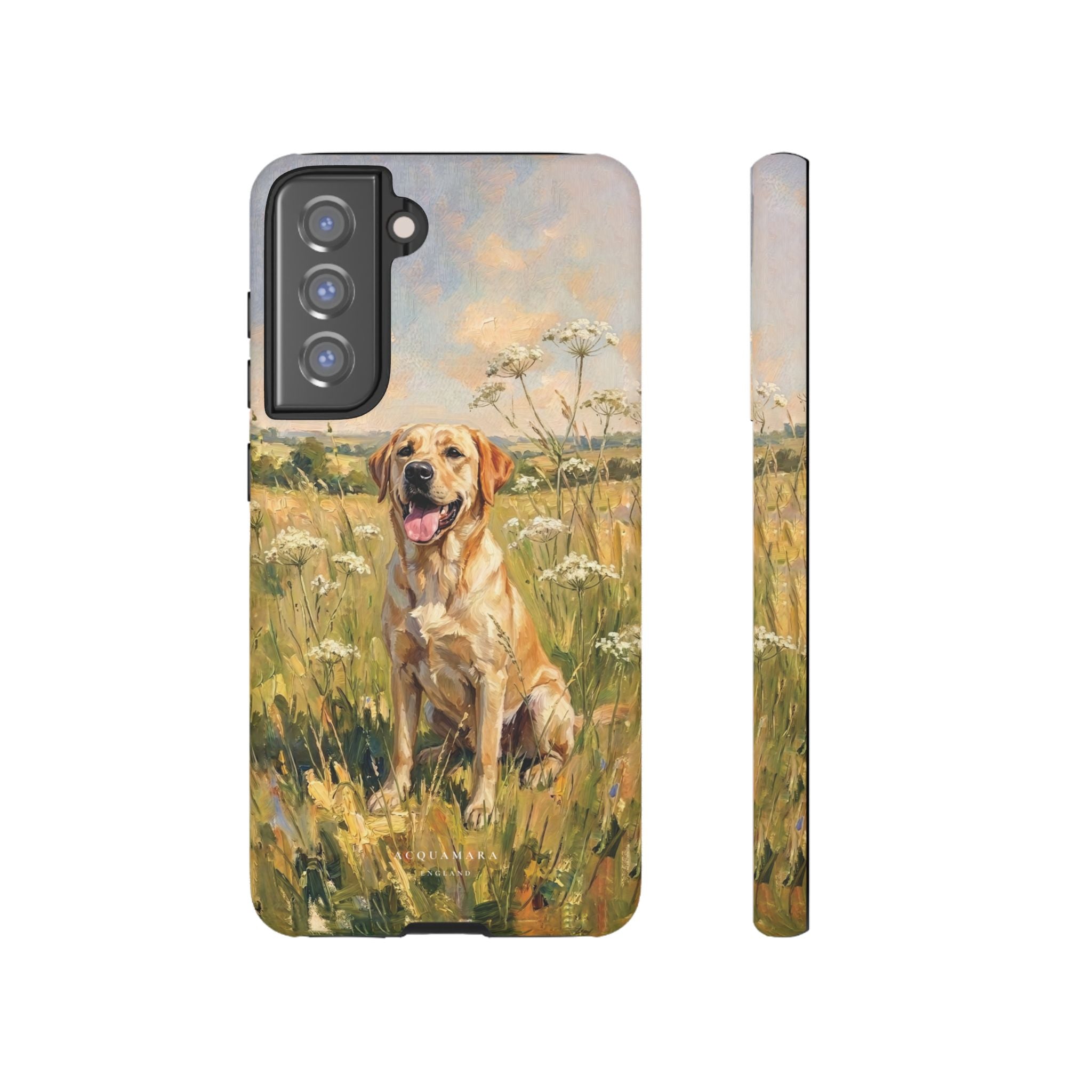 The Labrador (Yellow)