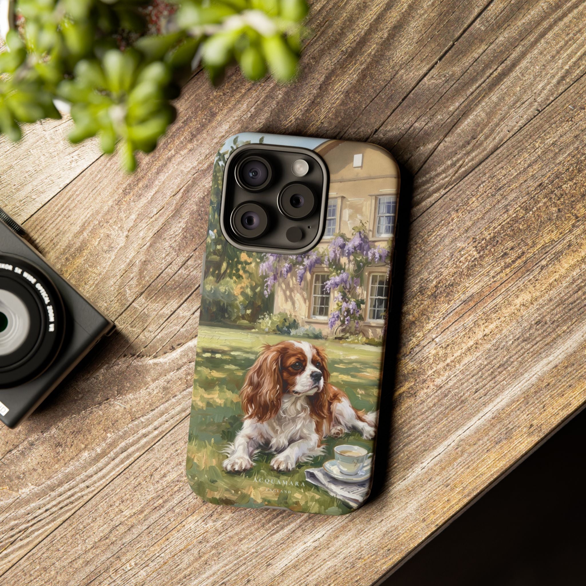 The Cavalier King Charles Spaniel