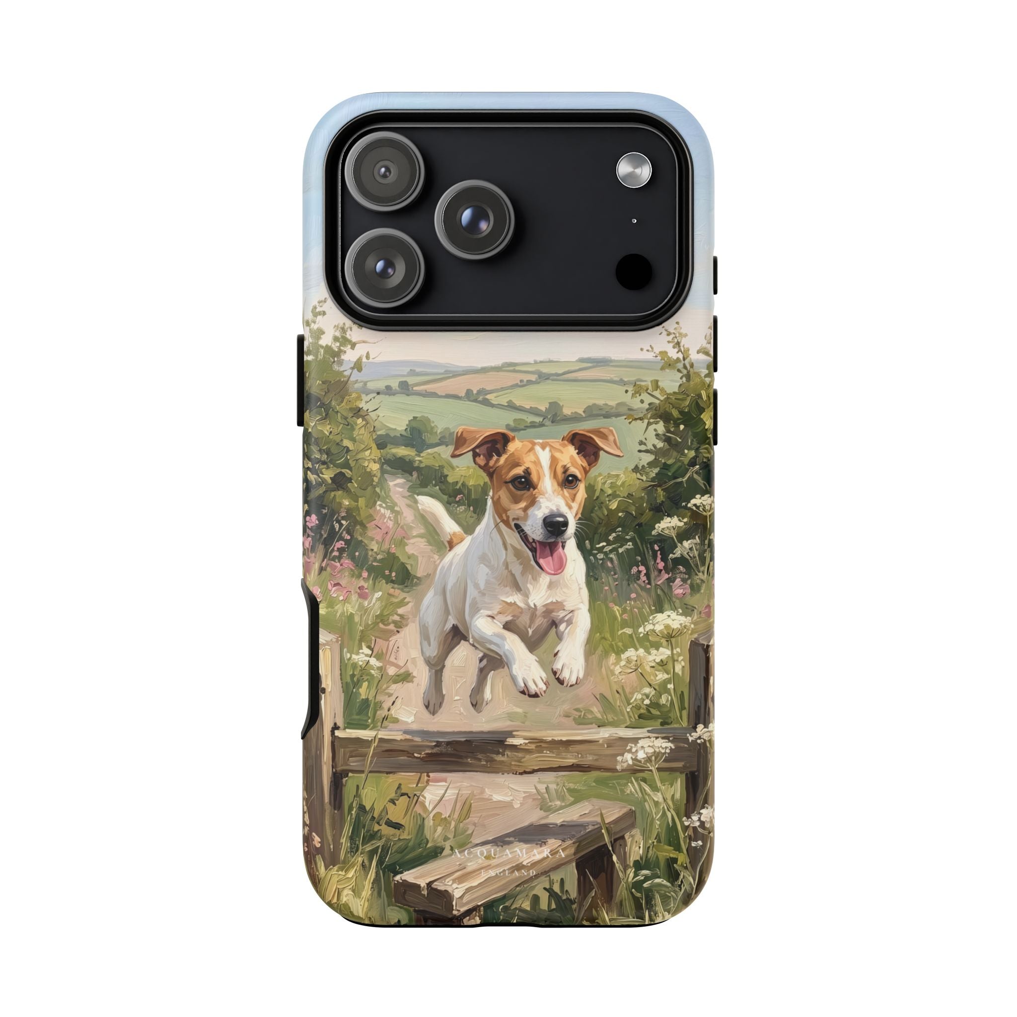 The Jack Russell (White and Tan)