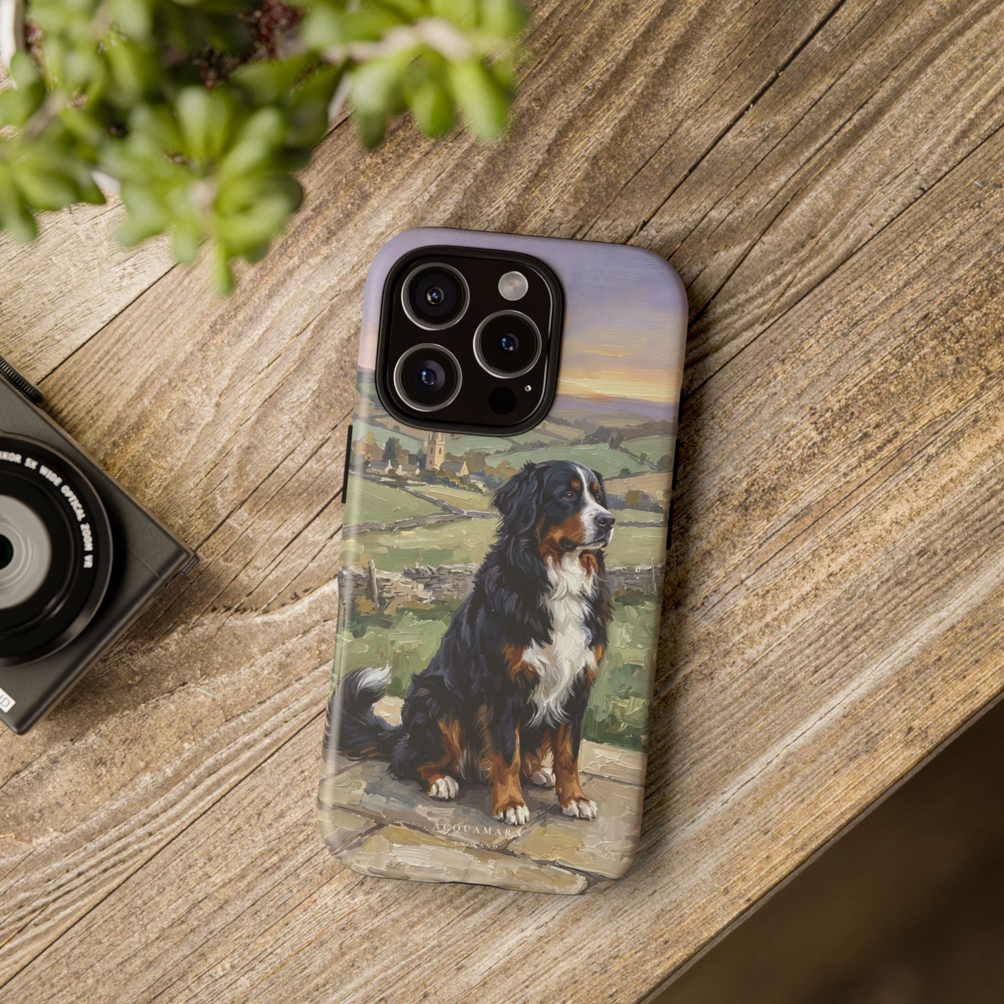 The Bernese Mountain Dog