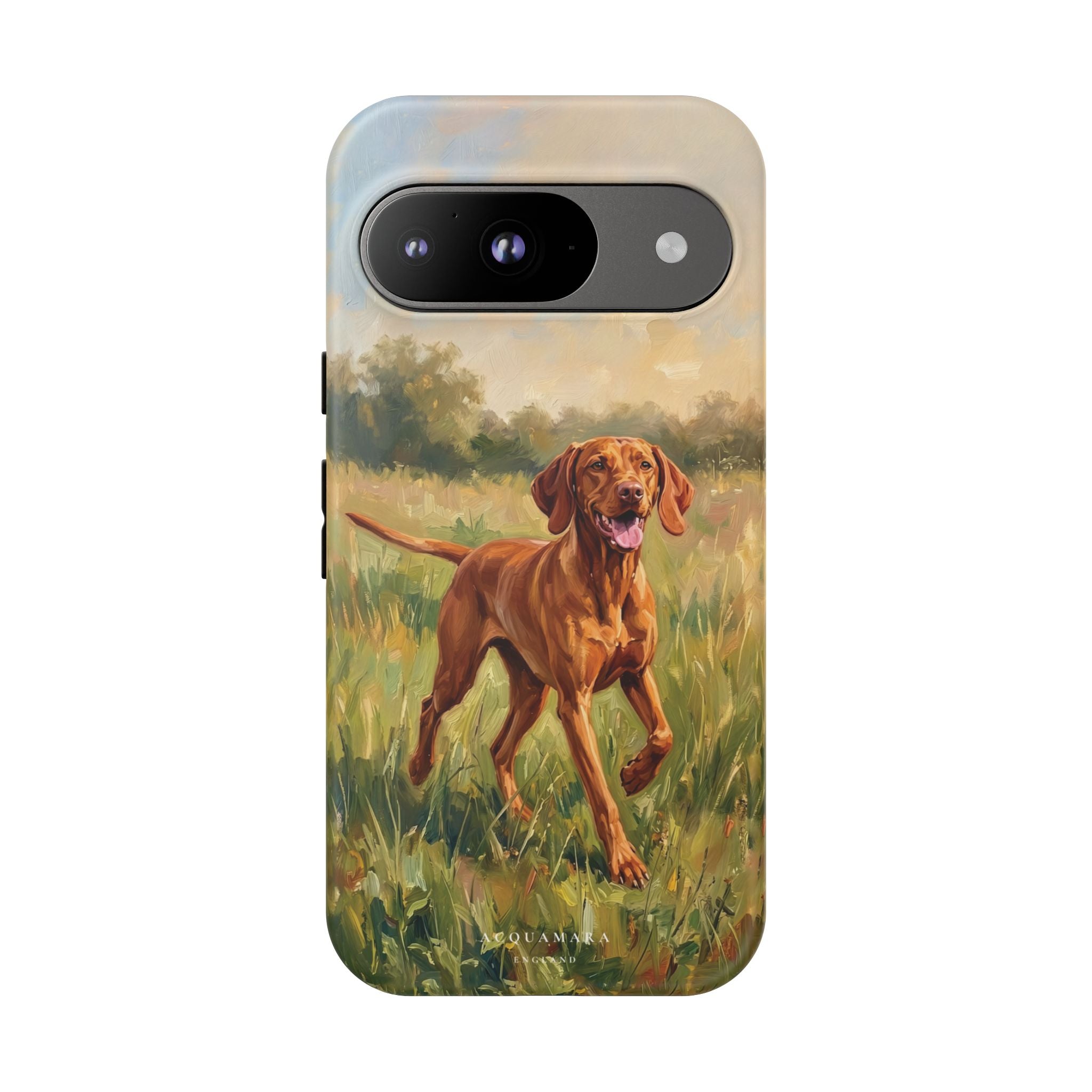The Hungarian Vizsla