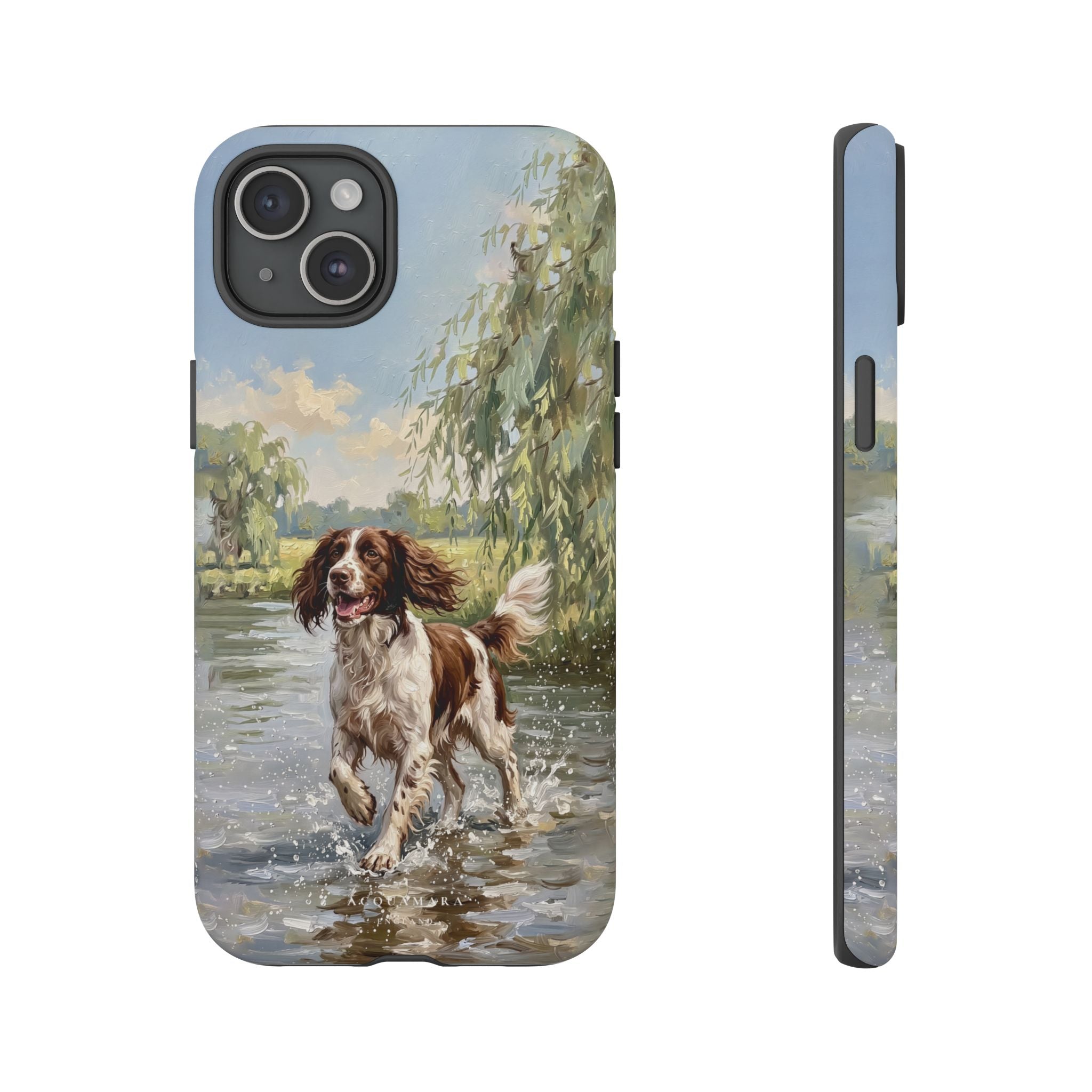 The Springer Spaniel (Liver and White)