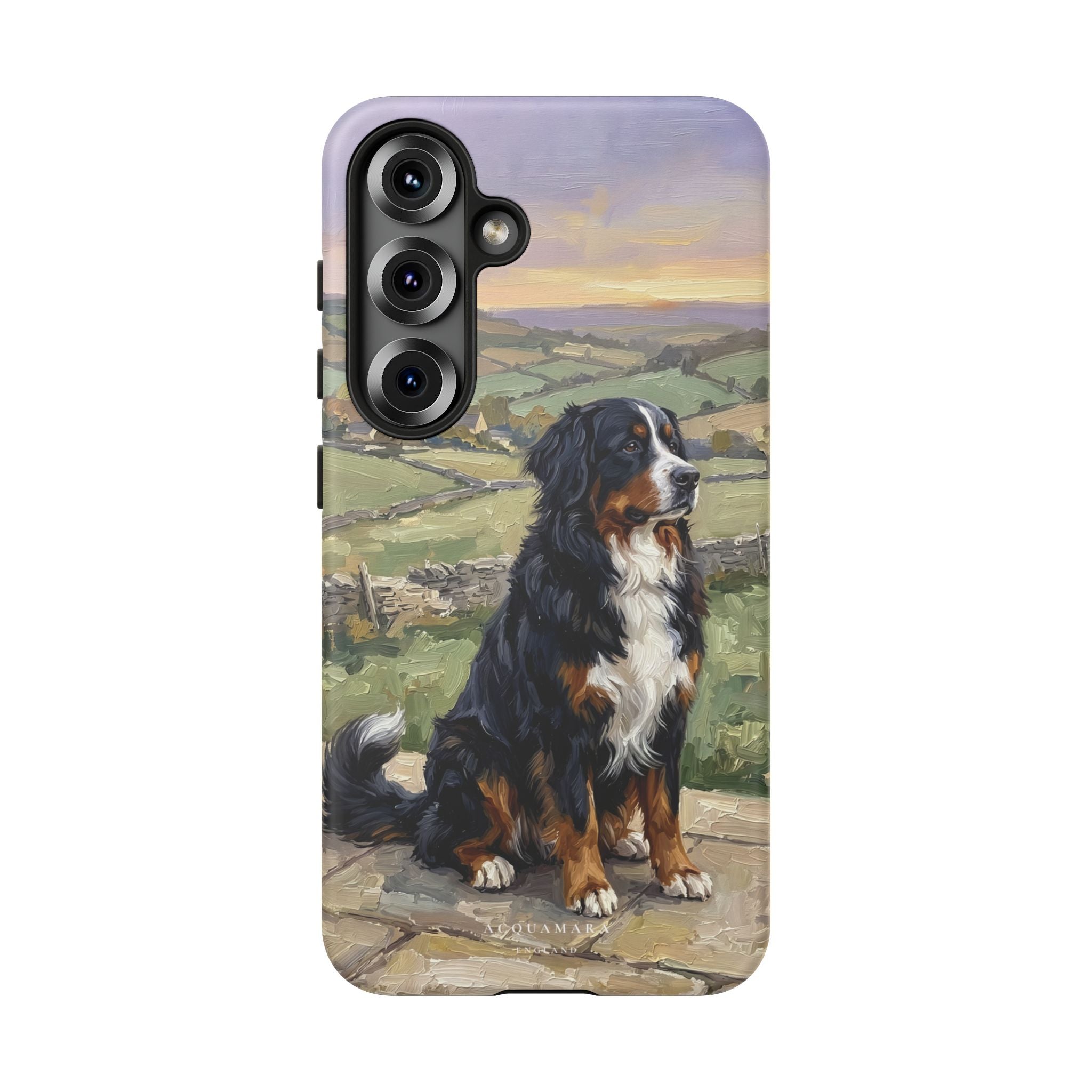 The Bernese Mountain Dog