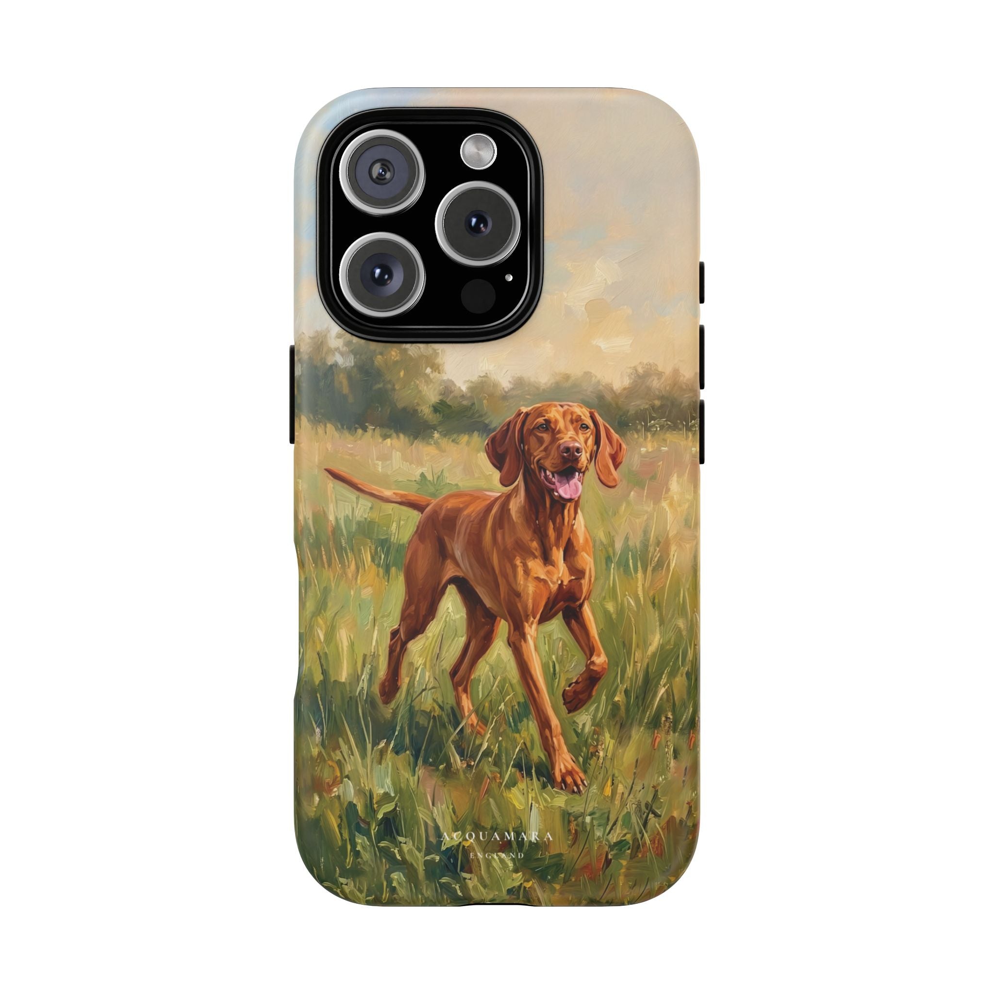 The Hungarian Vizsla