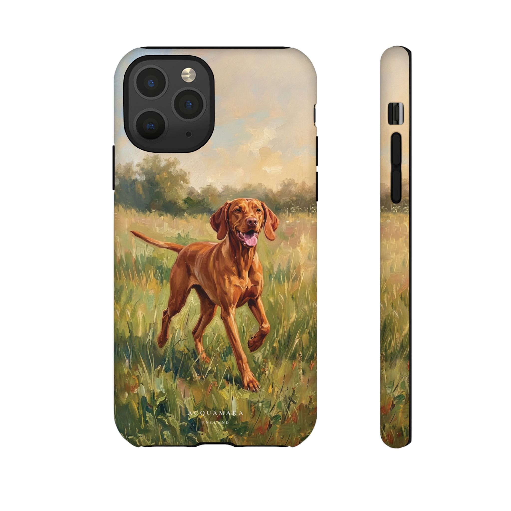 The Hungarian Vizsla