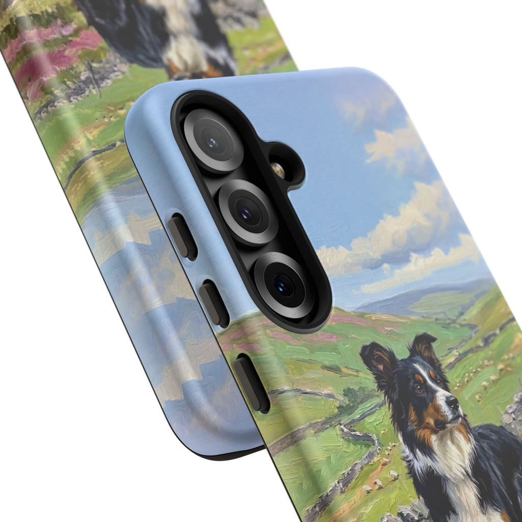 The Border Collie