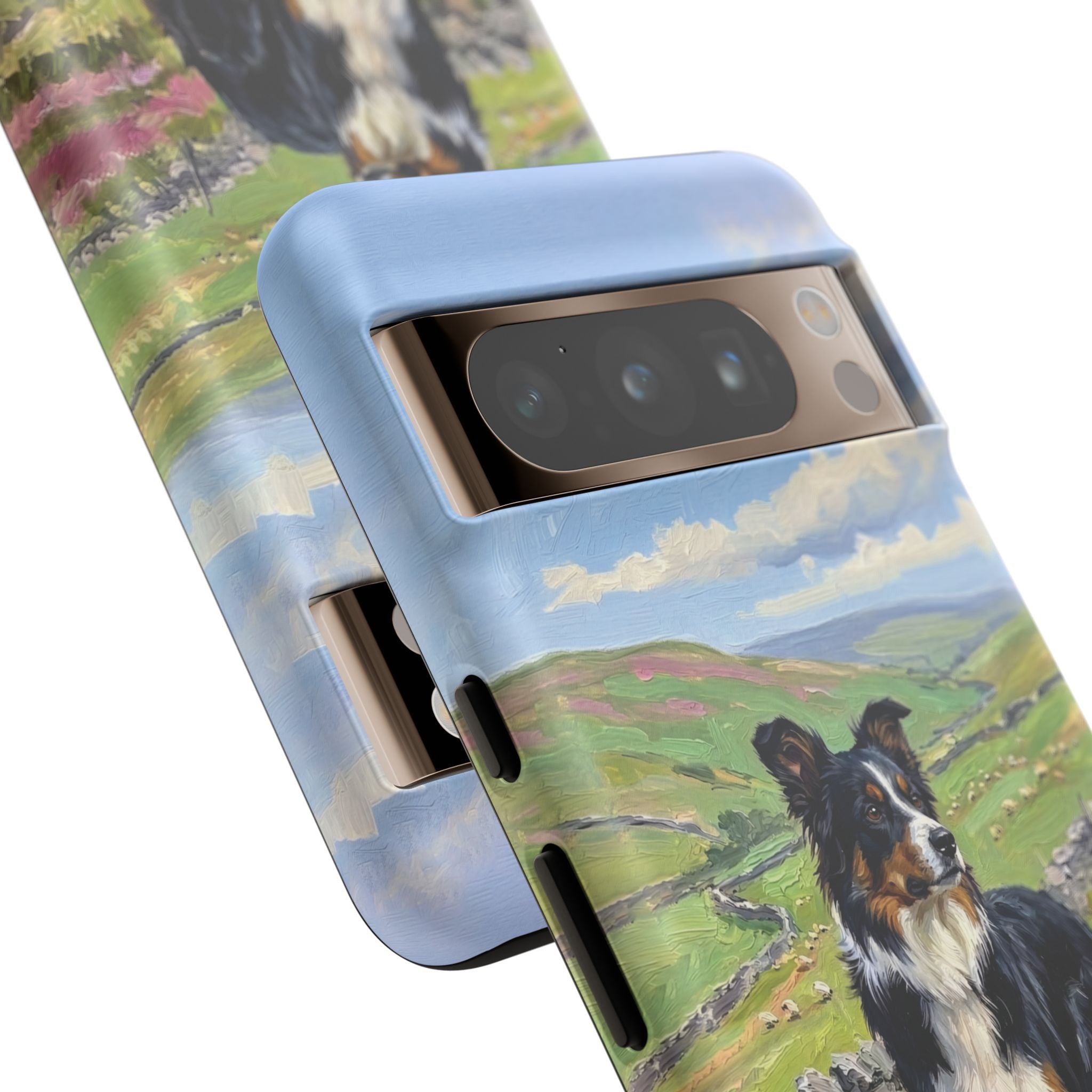 The Border Collie